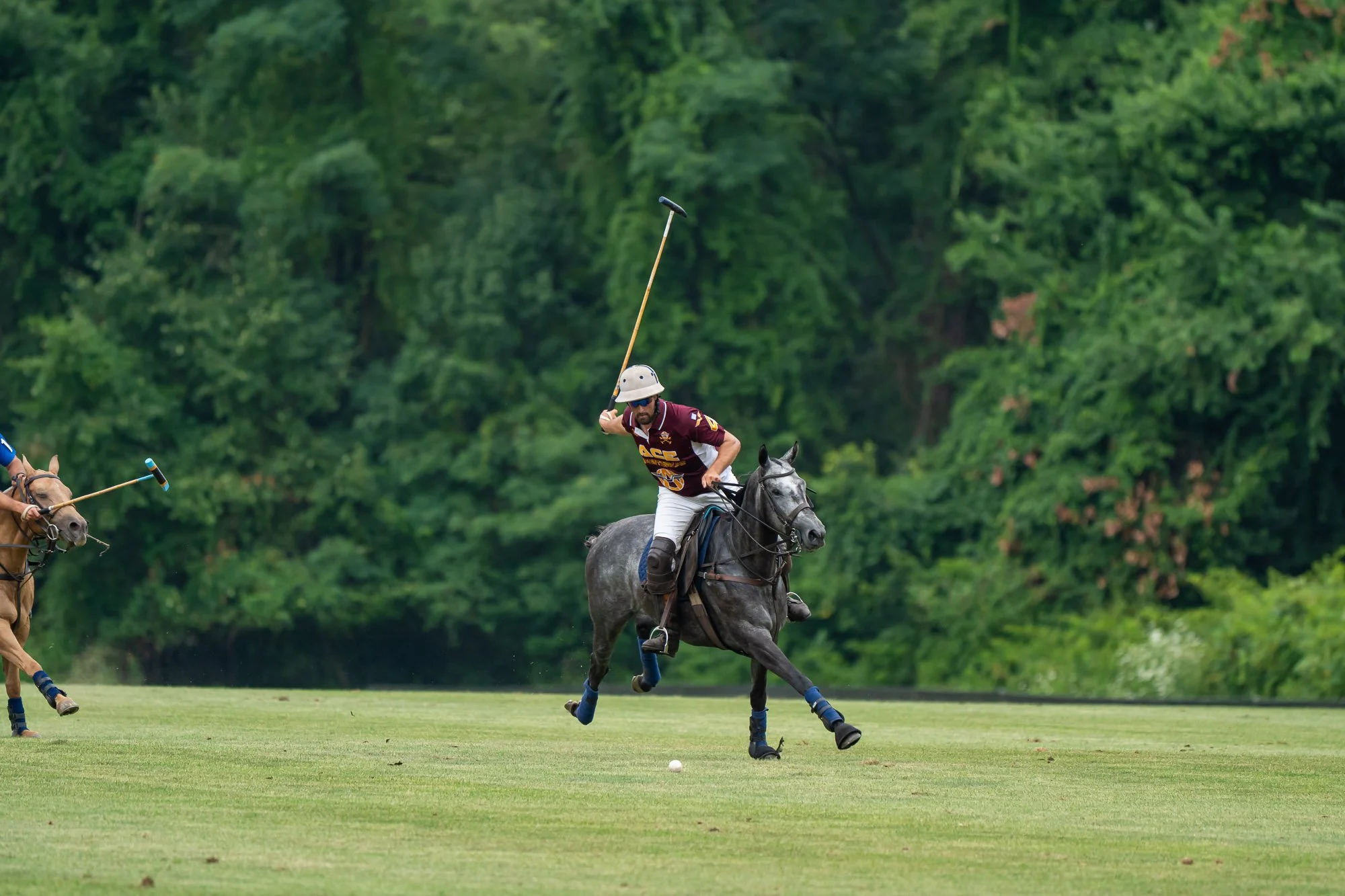 A man riding a horse on a green polo field with another player nearby, both wearing helmets and polo attire, surrounded by lush trees in the background.
