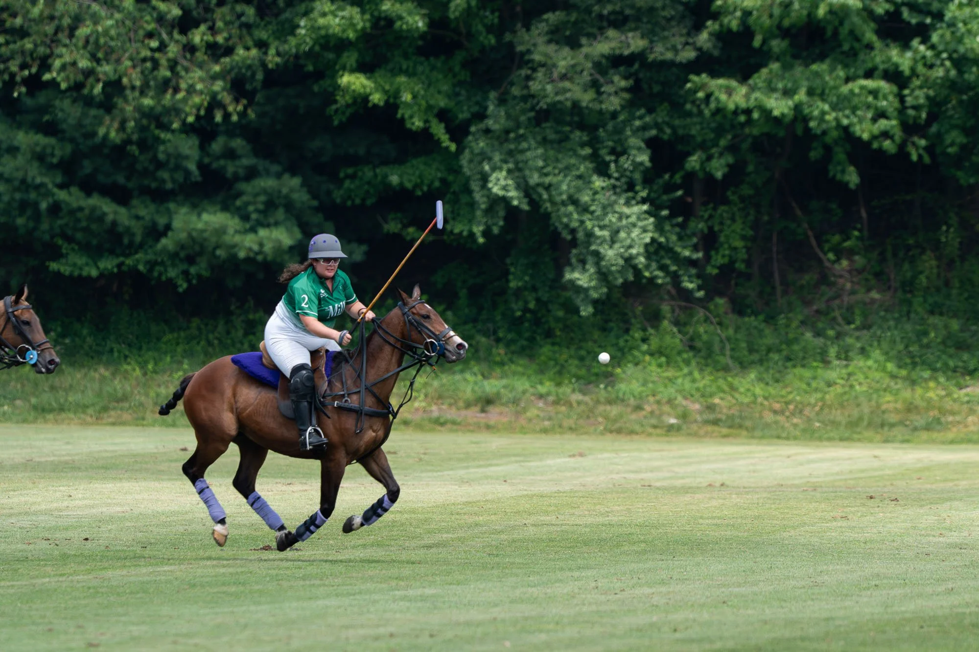 A group of people riding horses and playing polo on a grassy field with trees in the background.