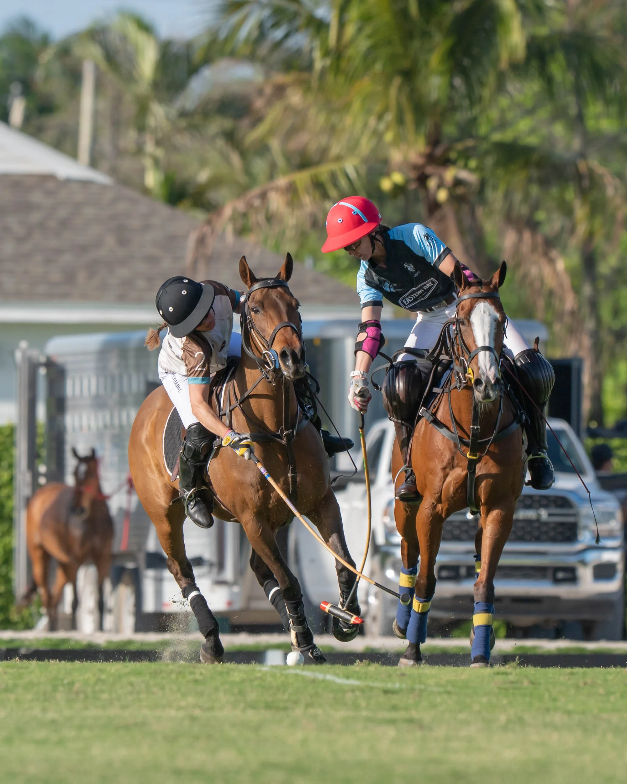 Two polo players riding horses compete for the ball on a polo field, with palm trees and buildings in the background.