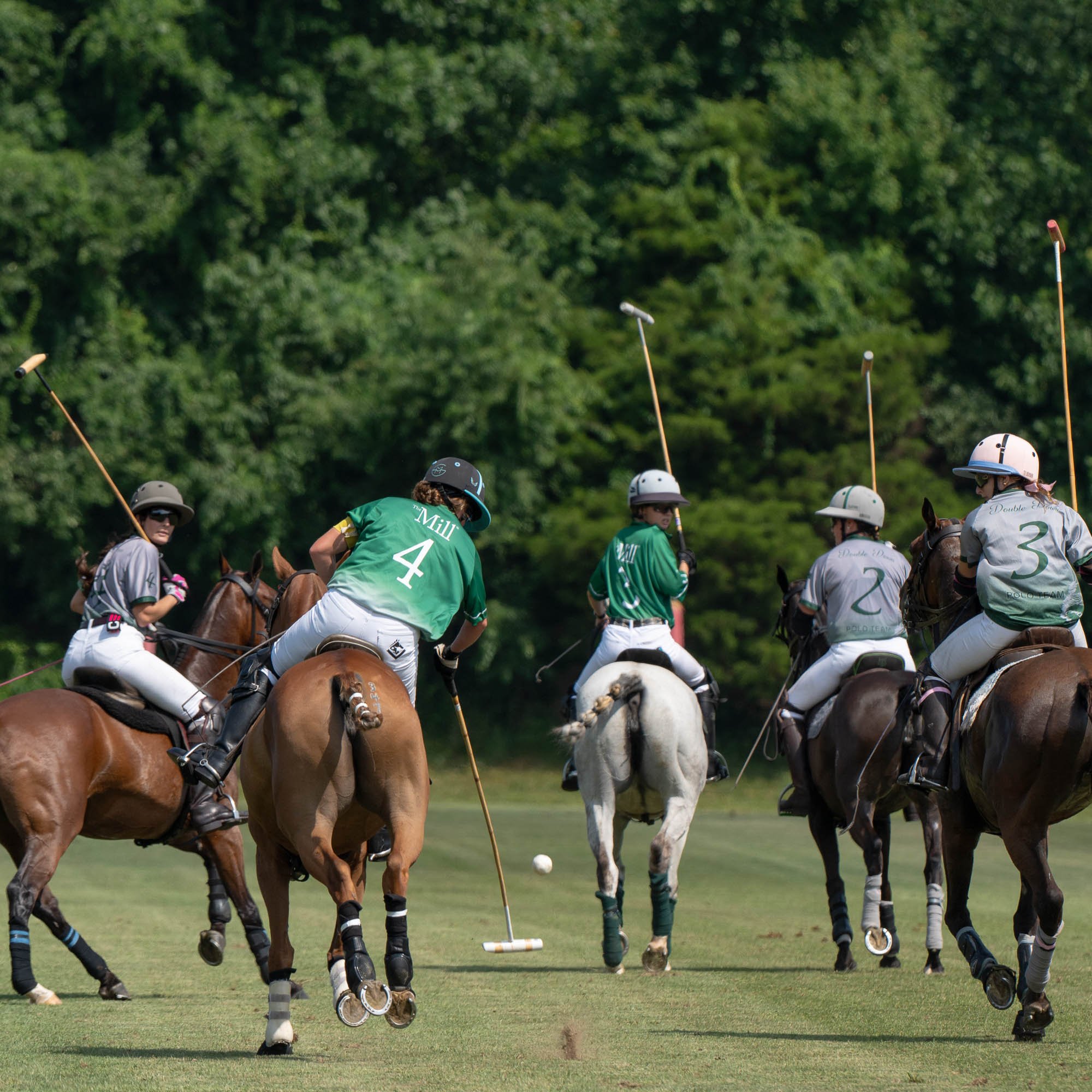 Lacrosse players on a field, wearing helmets and uniforms, engaged in a game under sunny weather with trees in the background.