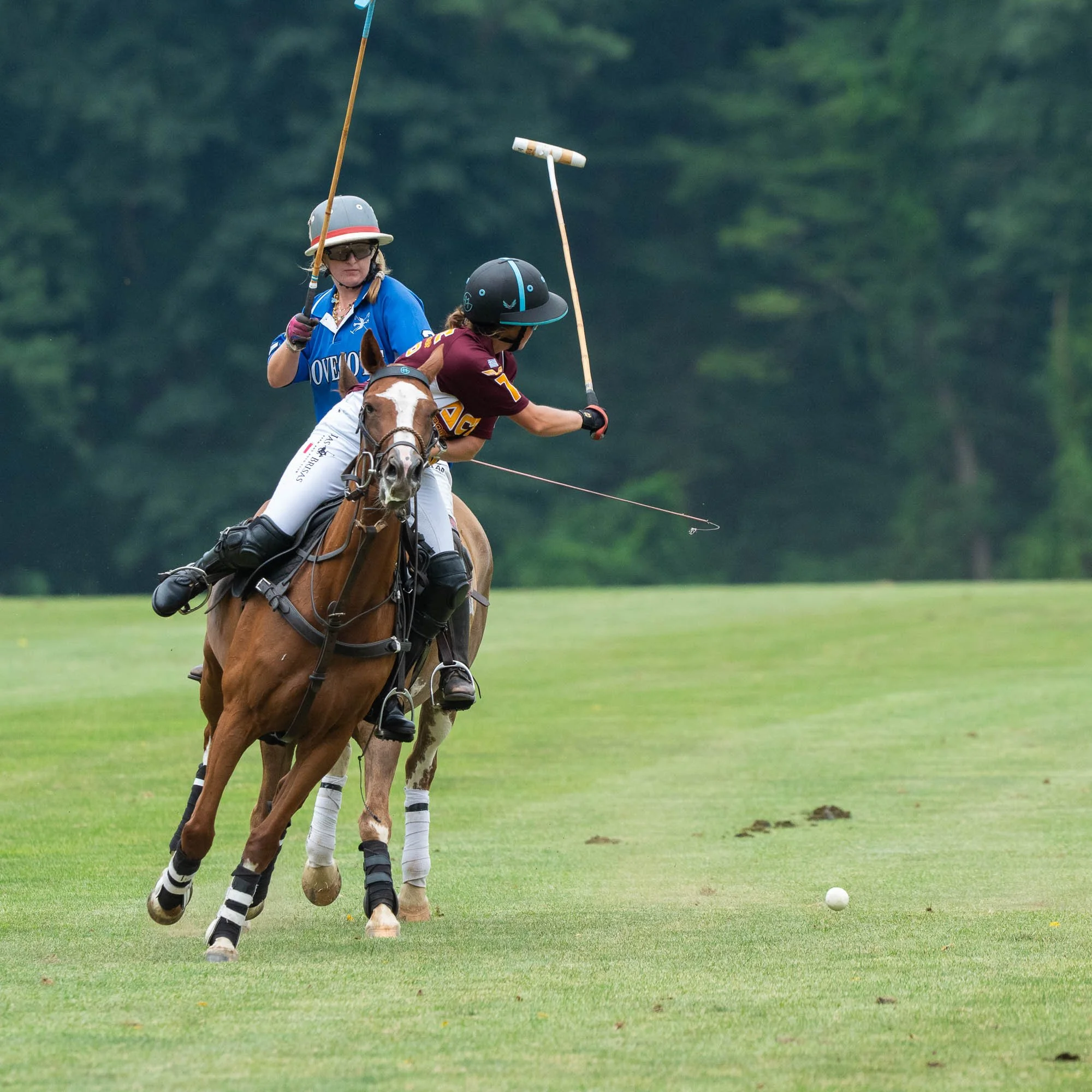 Two women playing polo on horseback on a green field, with one preparing to hit the white polo ball. One woman wears a blue shirt and helmet, the other wears a maroon shirt and helmet. The horses are wearing protective gear, and the background is blu