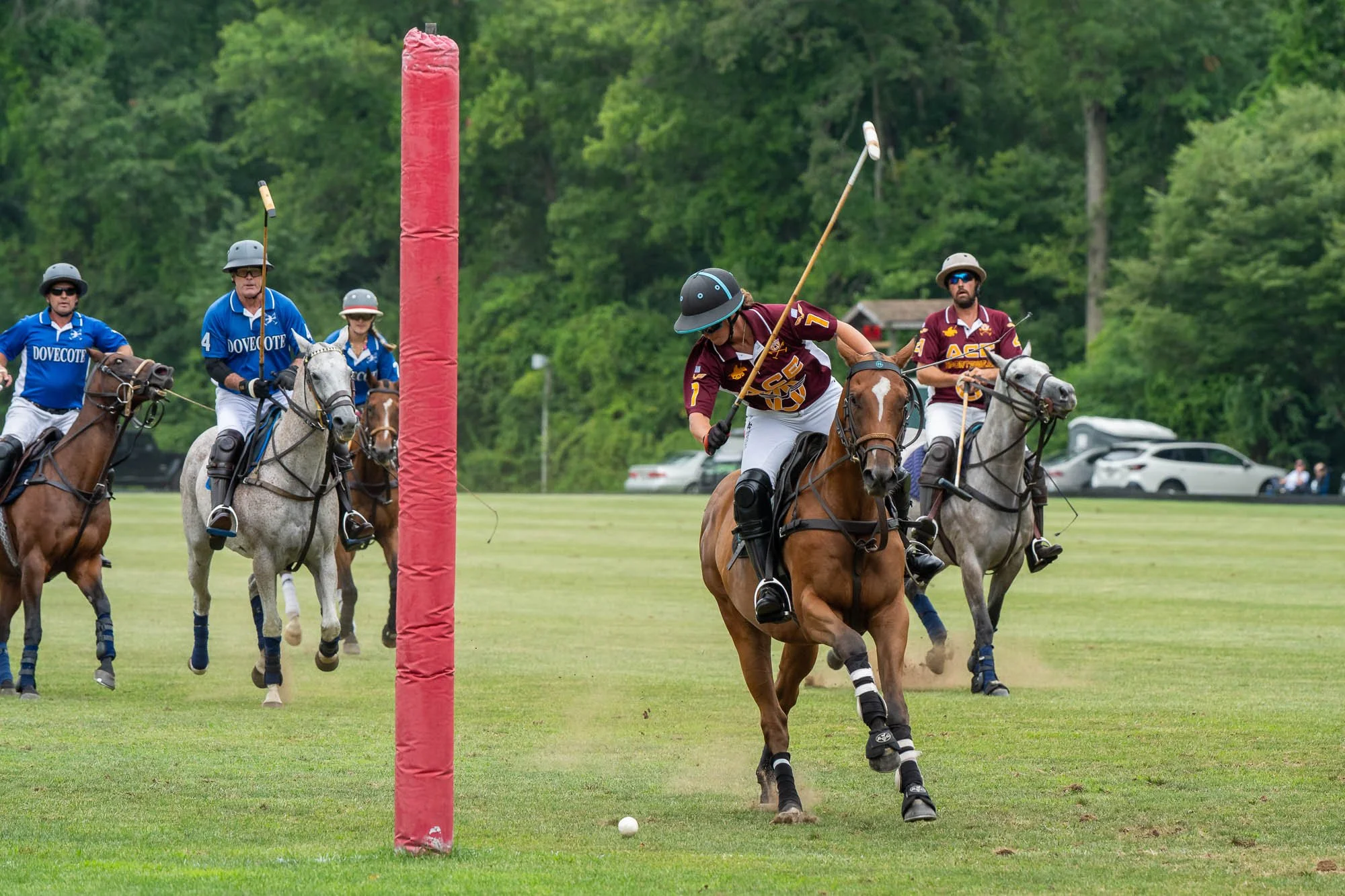 A group of polo players on horseback competing in a match on a grass field. One player is leaning forward to hit the ball, while others are watching. There is a red goal post in the foreground, and a line of trees and parked cars in the background.
