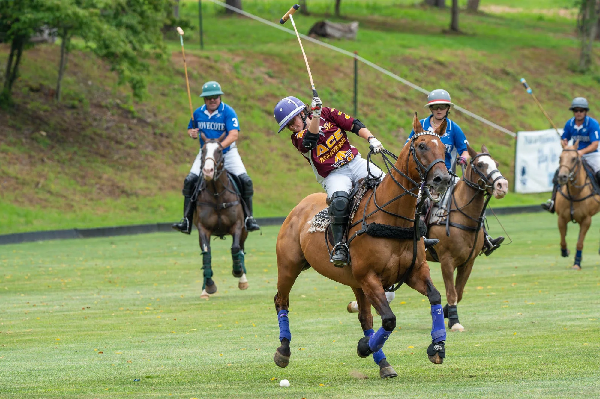 A polo match in progress with four players riding horses on a green field, one player in maroon and yellow uniform striking a white ball with a mallet, three players in blue uniforms watching.