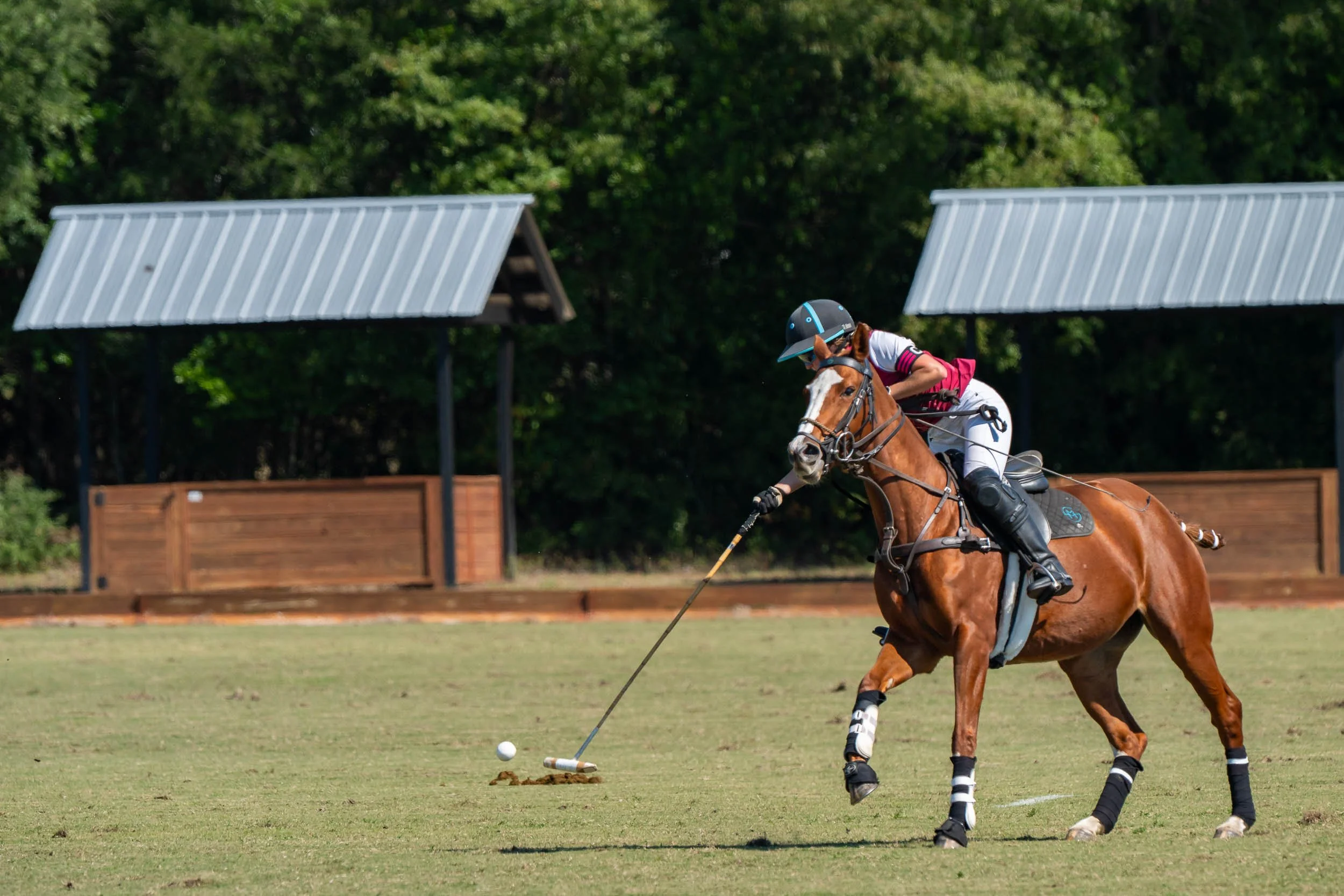 Polo player on horseback striking a ball on a grassy field