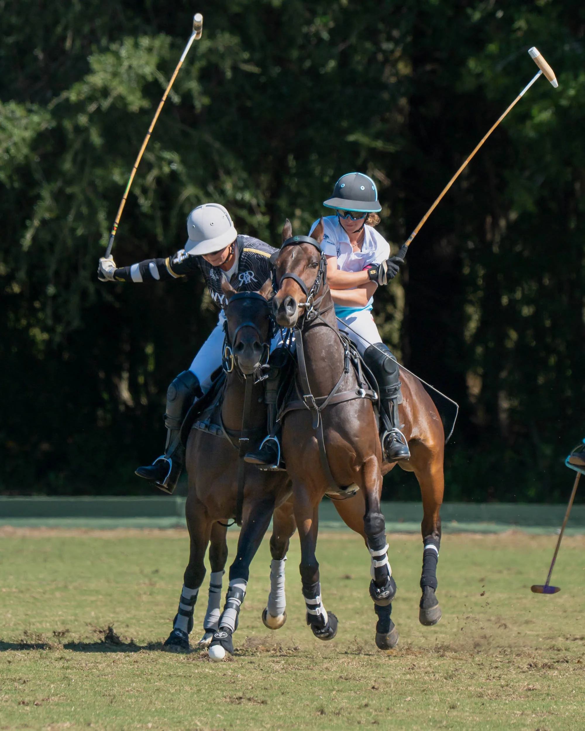 Two polo players on horseback competing on a grassy field, swinging mallets toward the ball.