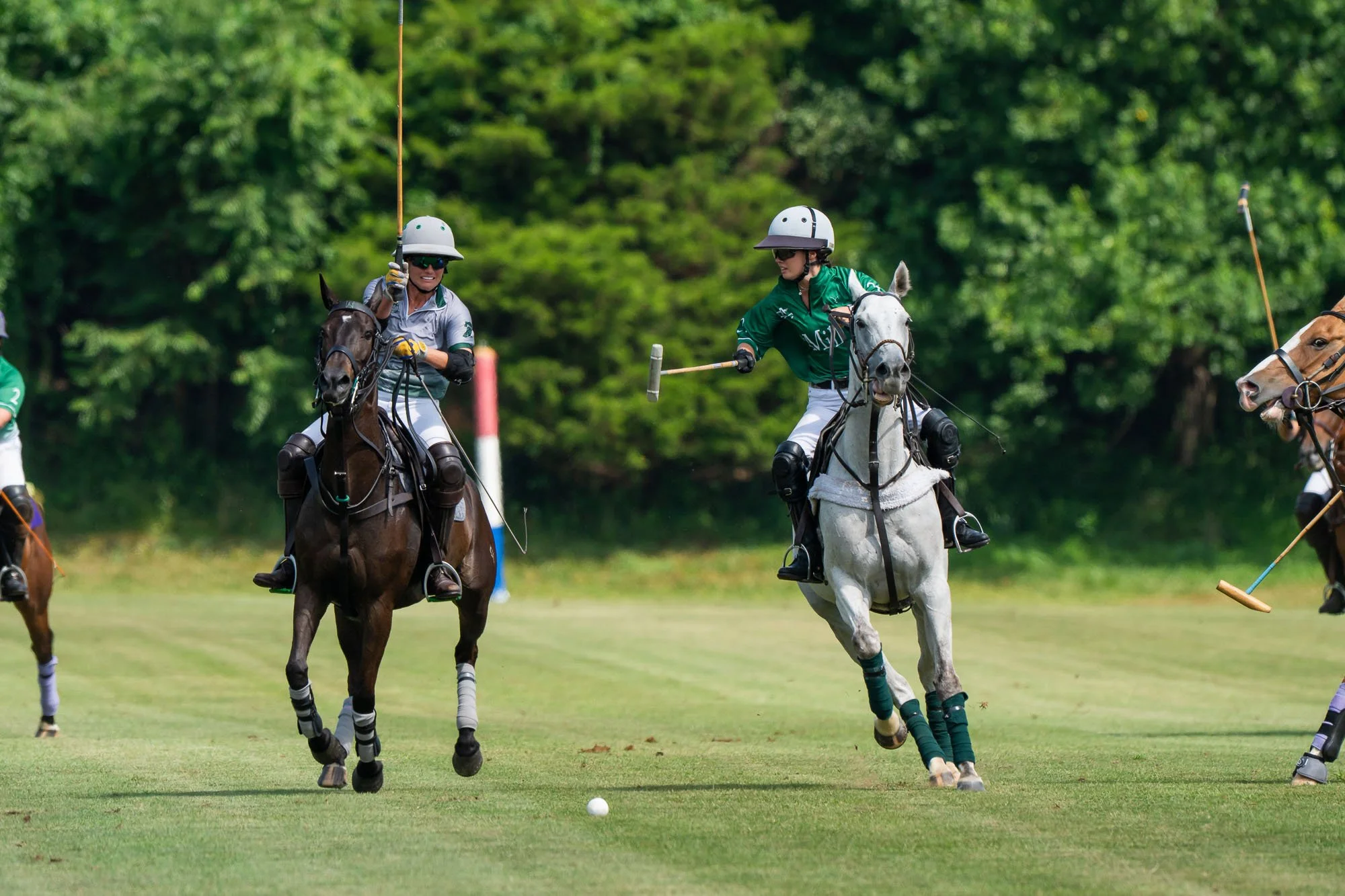 Two polo players on horseback competing for the ball on a polo field, with others in the background and a lush green forest behind them.