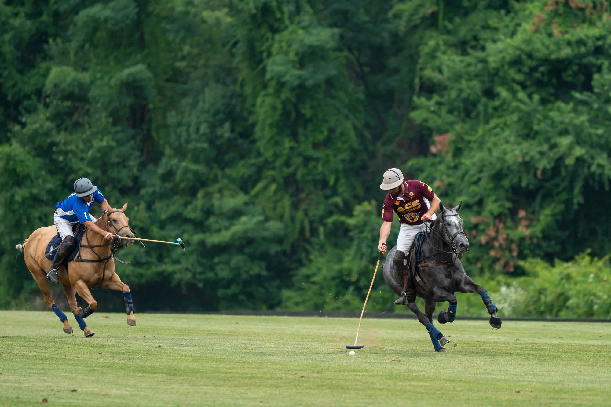 Two polo players on horseback competing for the ball on a grassy field with green trees in the background.