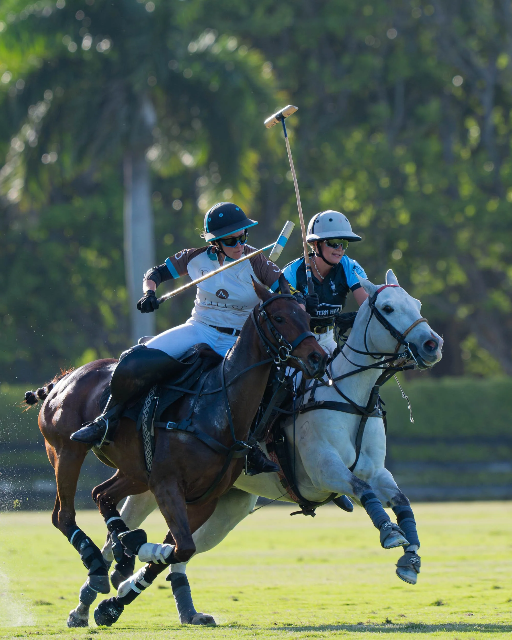 Two polo players riding horses compete on a green field, both holding mallets and wearing helmets and sunglasses, with blurred trees in the background.