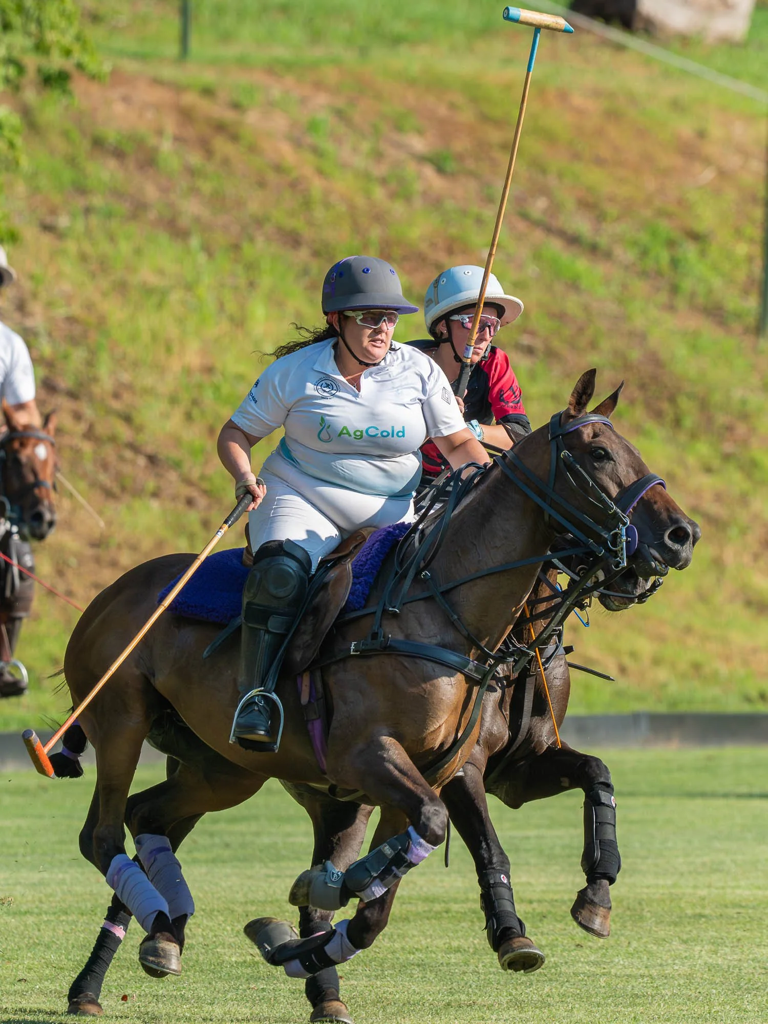 Two women playing polo on horseback, wearing helmets and sports uniforms, with a green field in the background.