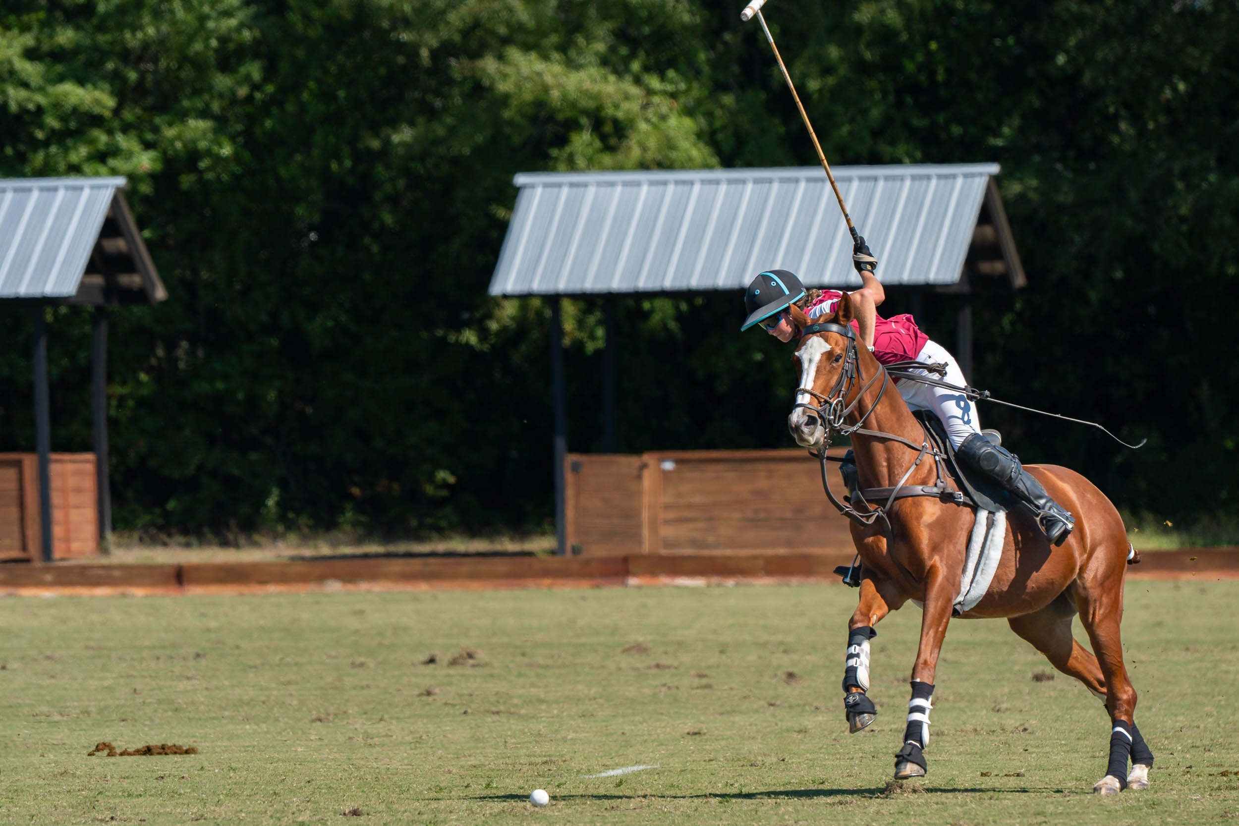 Polo player striking a ball from horseback on a grass field