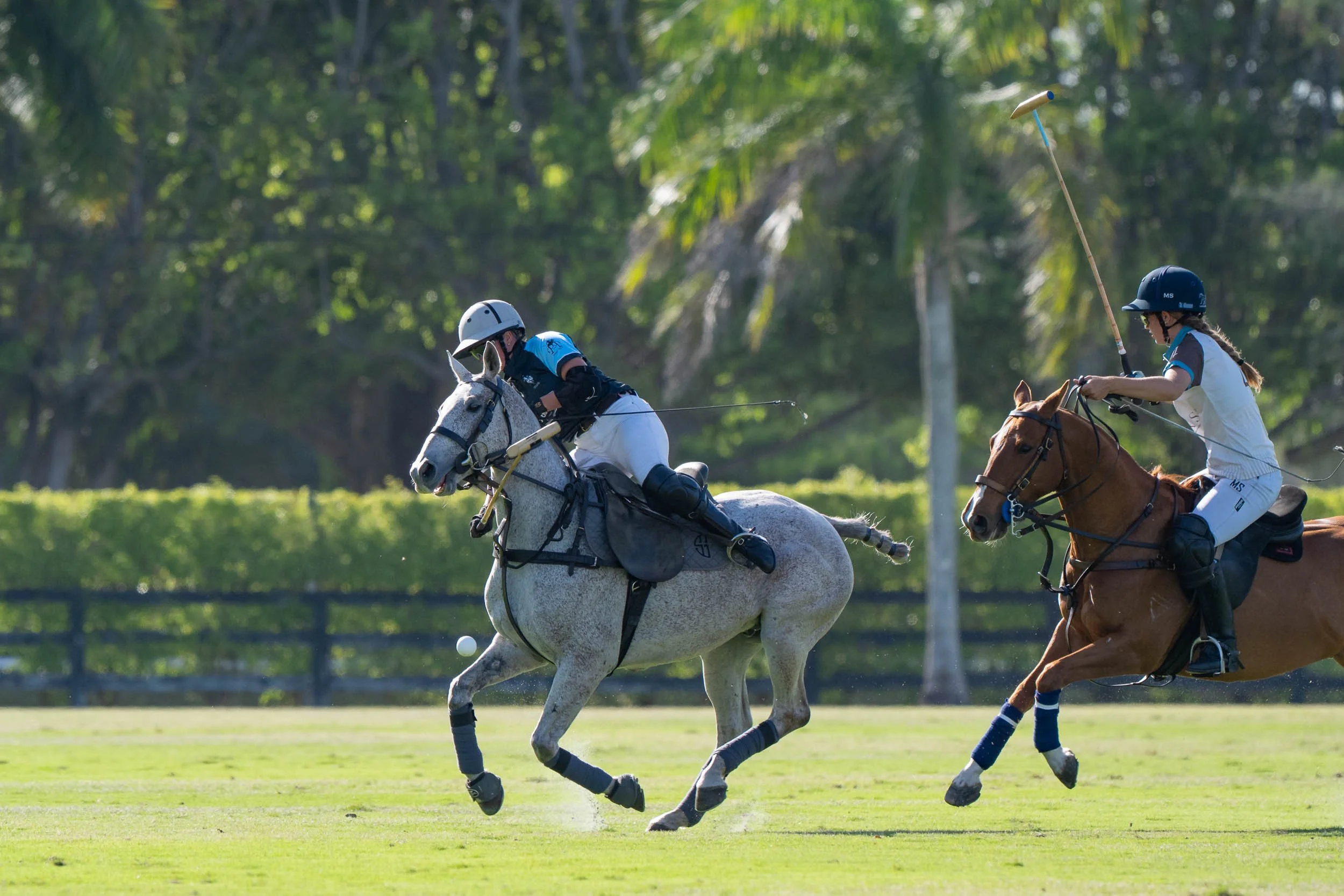 Two polo players riding horses compete for the ball during a game on a green field with trees in the background.