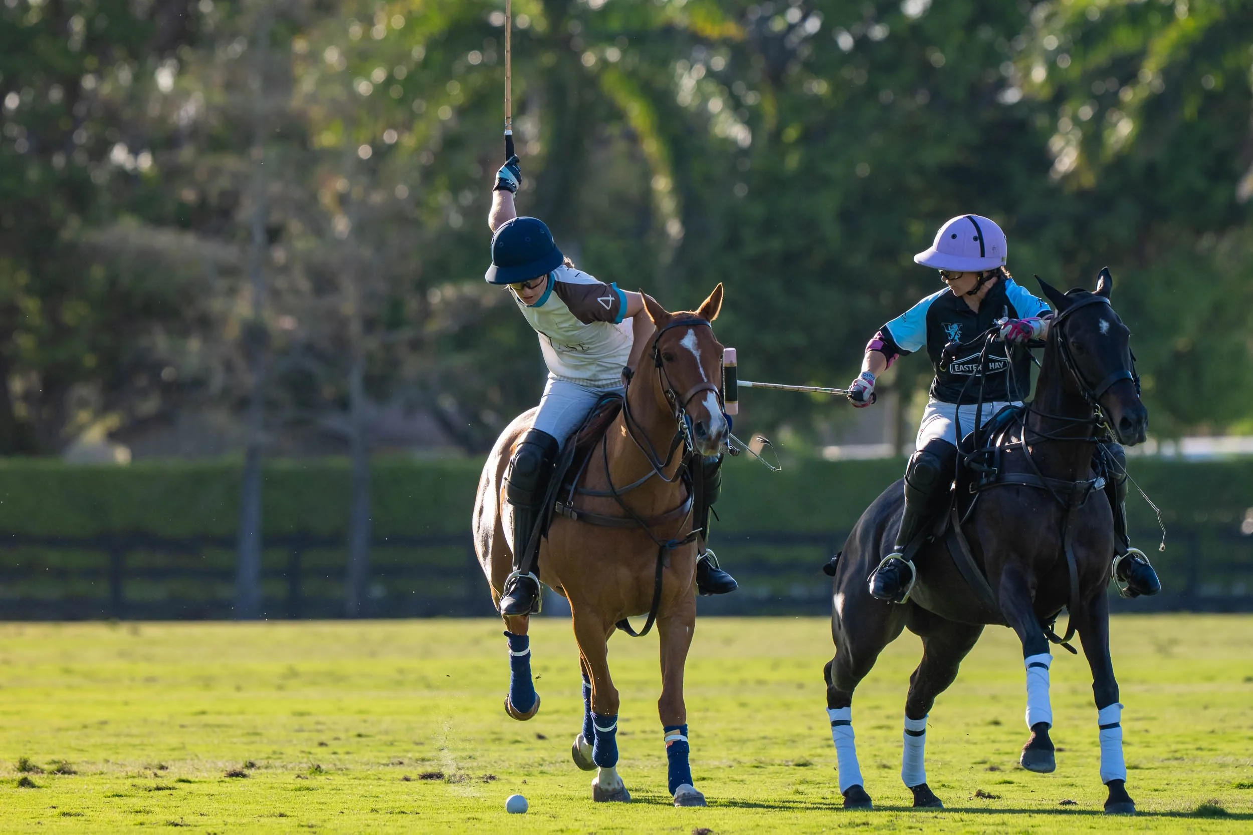Two polo players riding horses and hitting a polo ball on a grassy field with trees in the background.