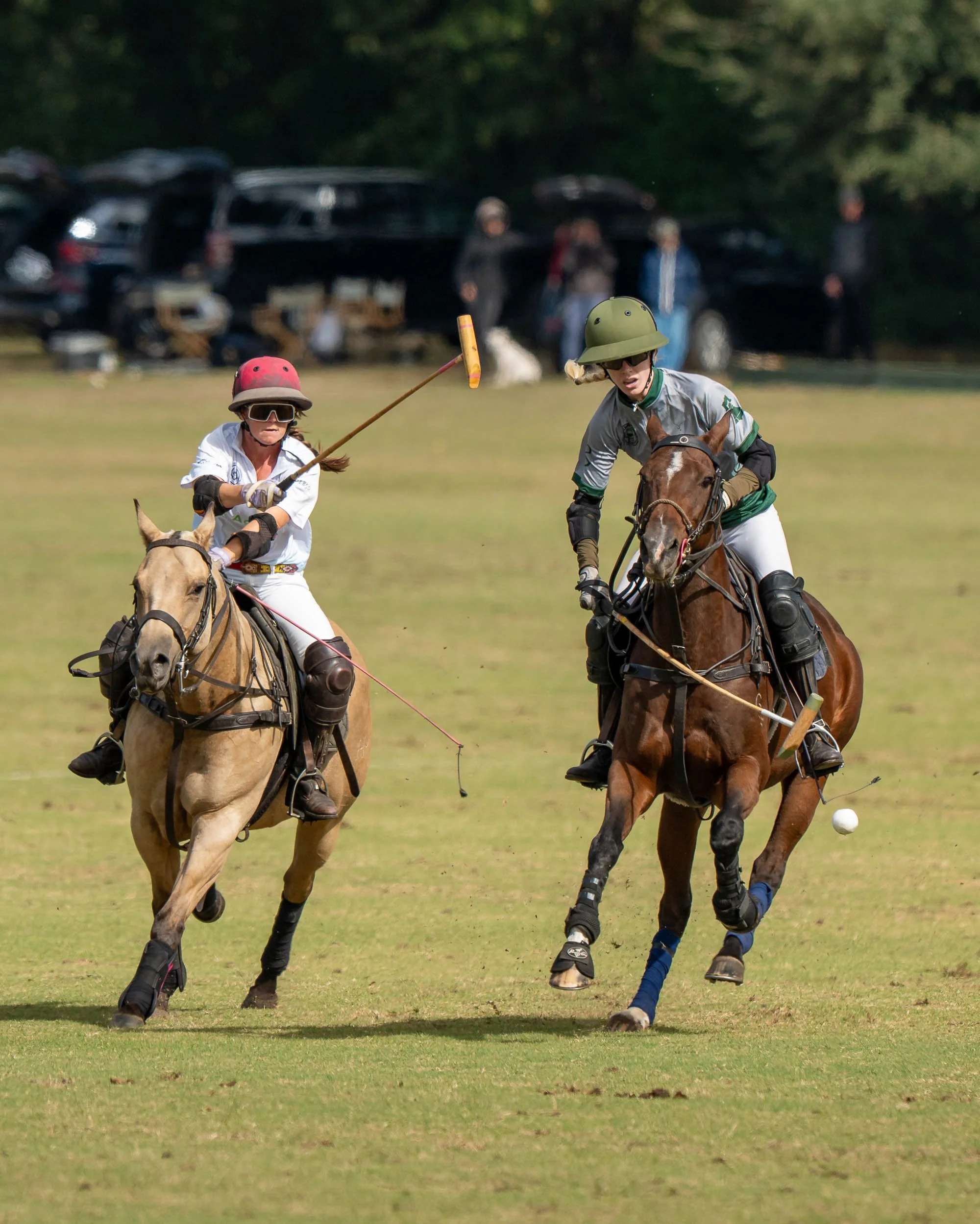 Two polo players on horseback compete for the ball on a grassy field.