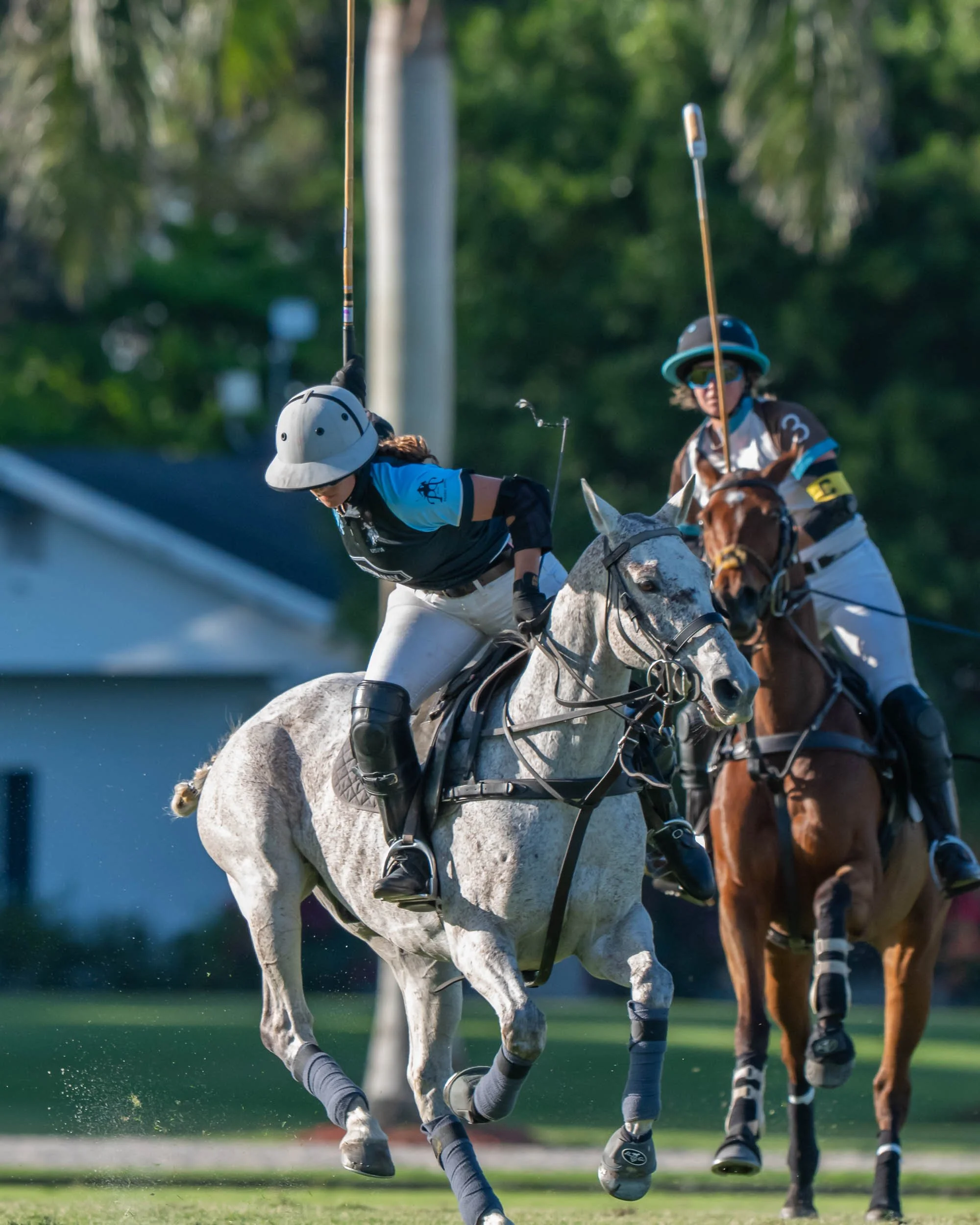 Two polo players riding horses compete for the ball on a polo field, with lush greenery in the background.