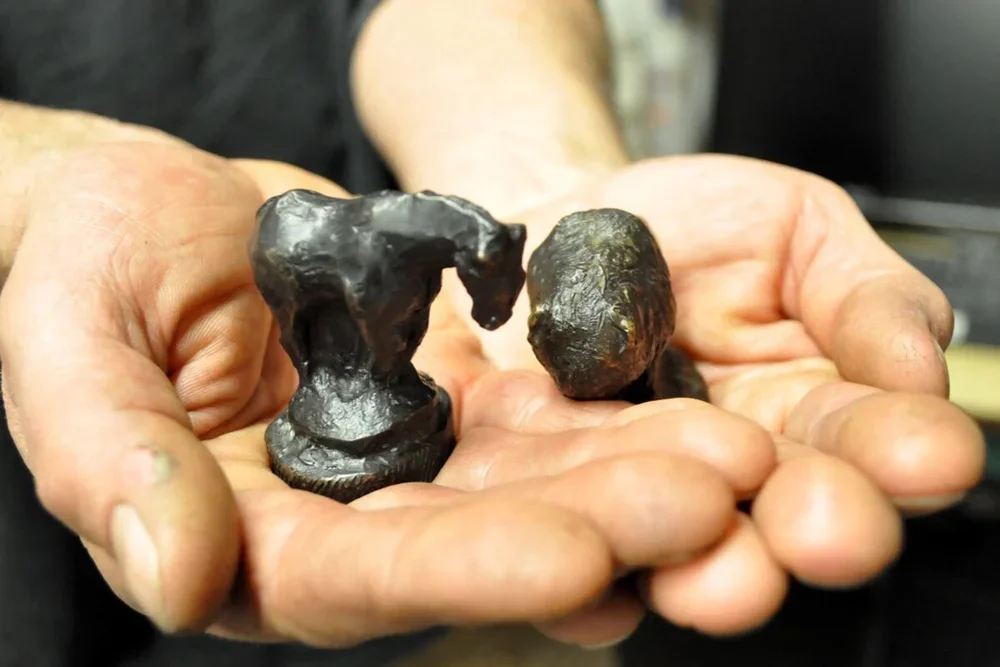 A person's hand holding two irregularly shaped, dark-colored objects, possibly stones or fossils, with a blurred background.