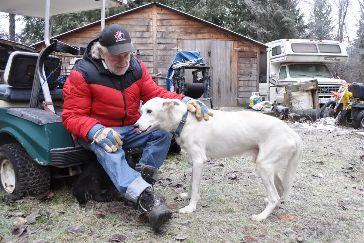 An elderly man with a beard wearing a black cap, red and black winter jacket, and gloves sitting on a small green golf cart, gently petting a large white dog with a collar. The scene is set outdoors in front of a wooden shed with various outdoor equipment and vehicles in the background, including an RV and a small ATV.