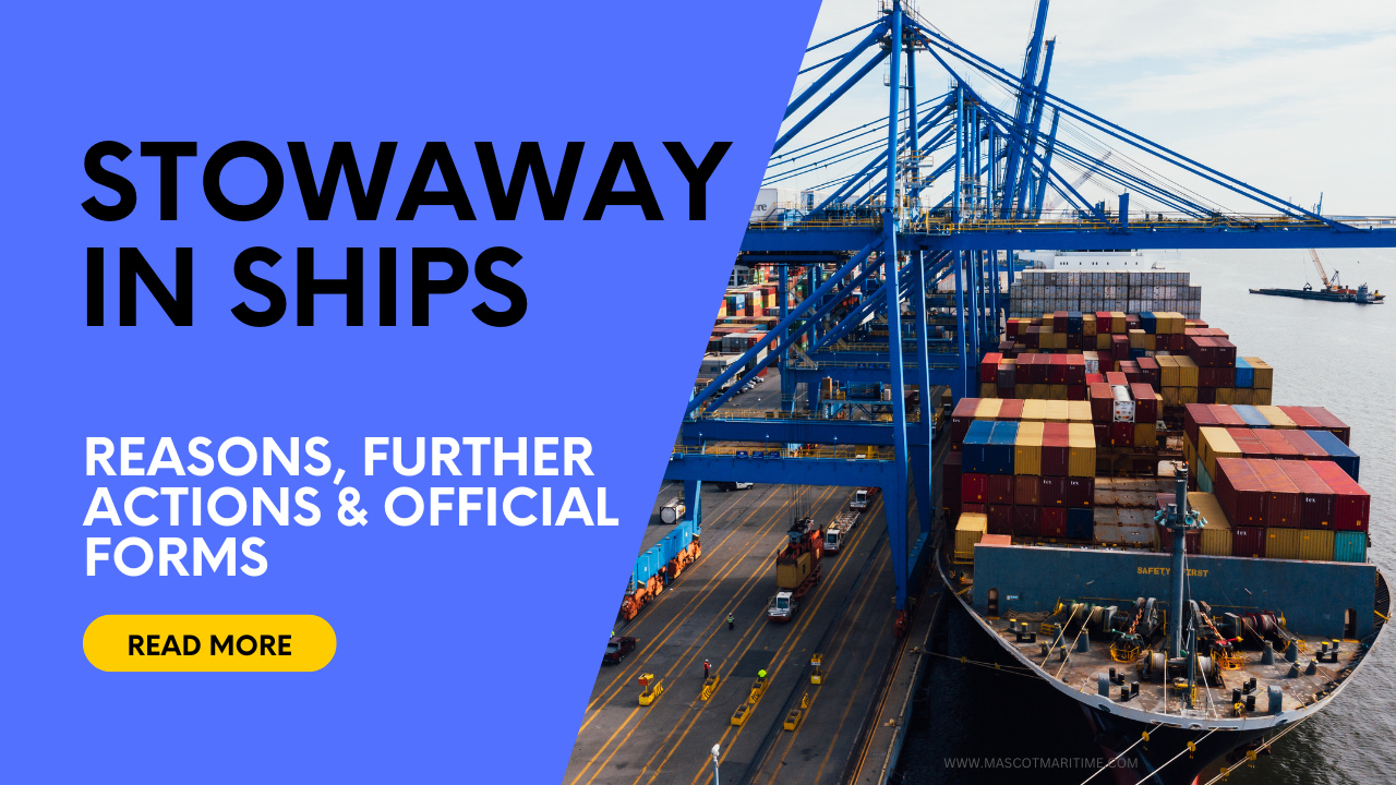 Stowaway on a ship : Full guide on reasons, further actions and official forms