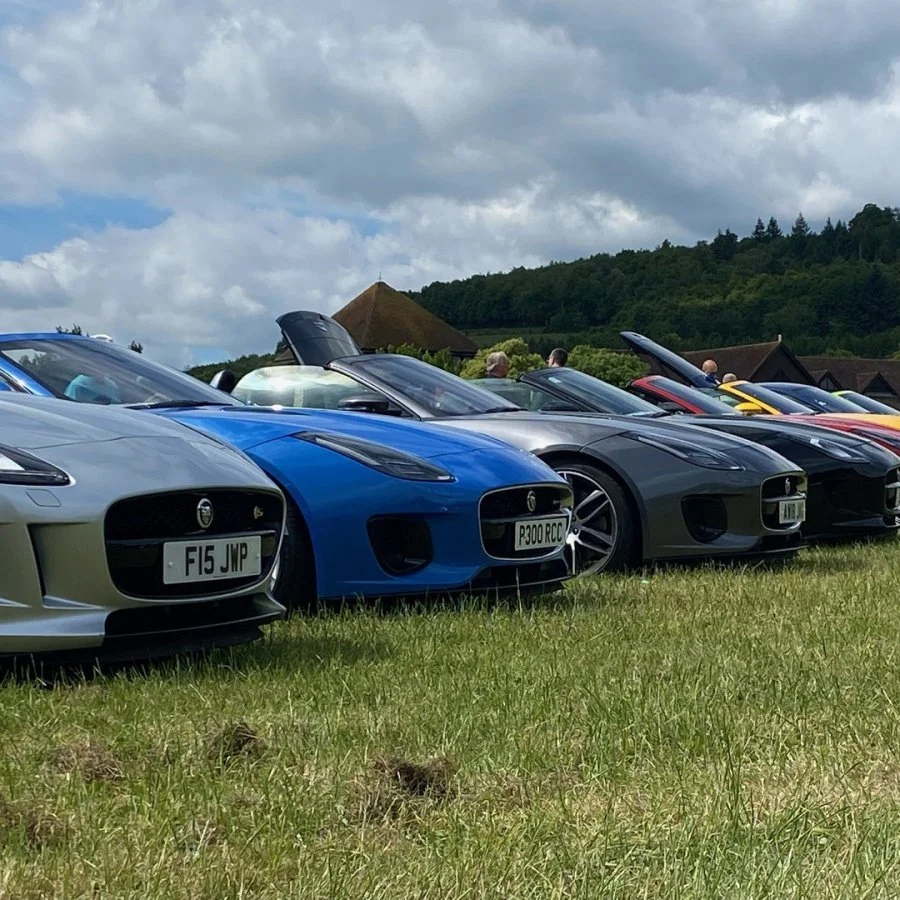 Several Jaguar sports cars parked on a grassy field with people walking in the background under cloudy skies.
