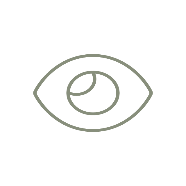 Vision Development Center | Ocular Motor