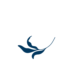 A stylized, nature-inspired icon featuring delicate leaves and stems