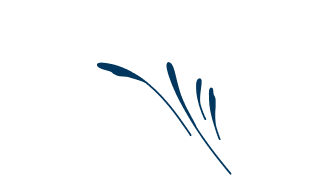 A stylized, nature-inspired icon featuring delicate leaves and stems