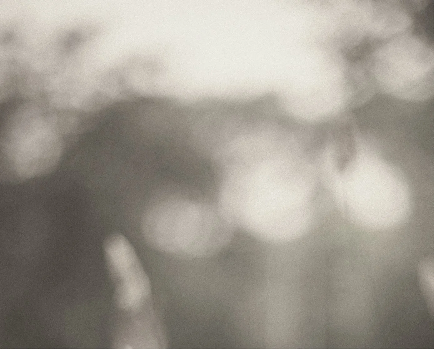 Blurred sepia abstract image with circular bokeh effects.