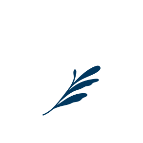 A stylized, nature-inspired icon featuring delicate leaves and stems