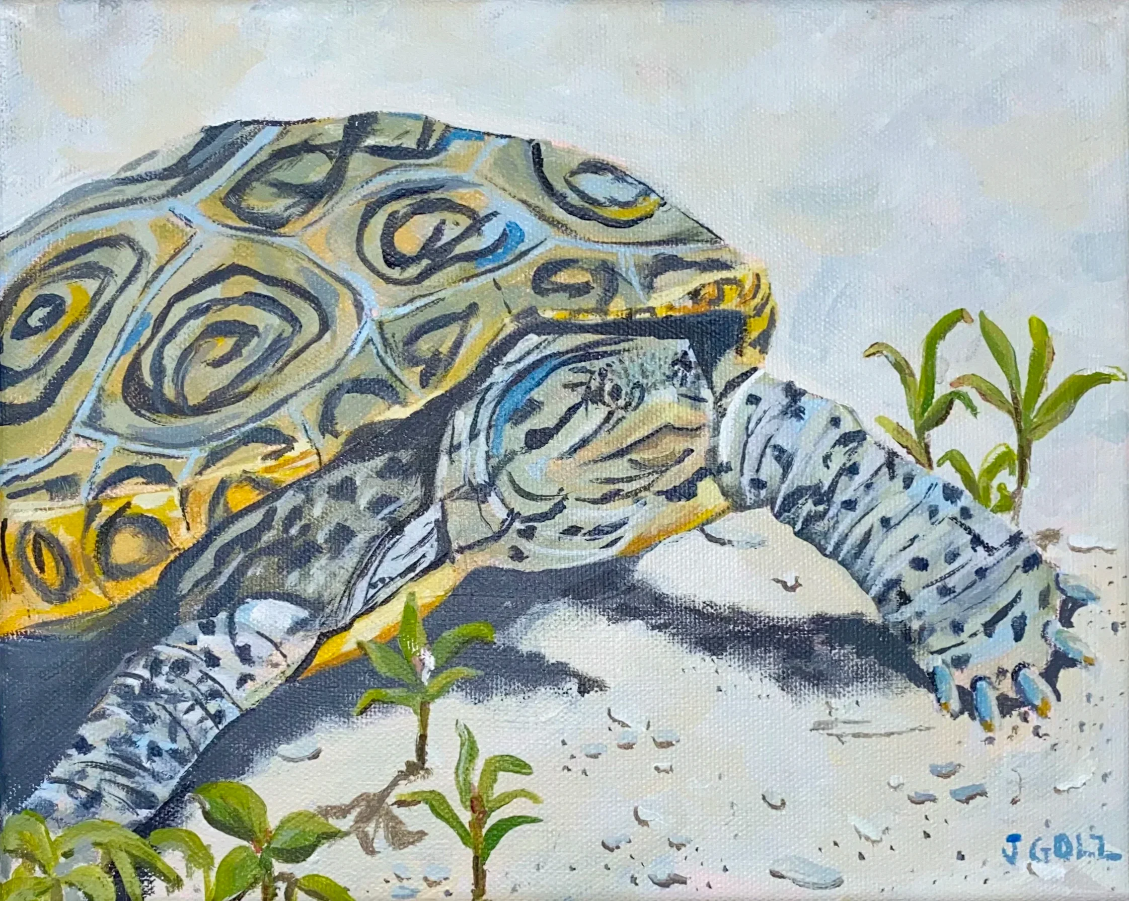 "Raphael" 8x10"