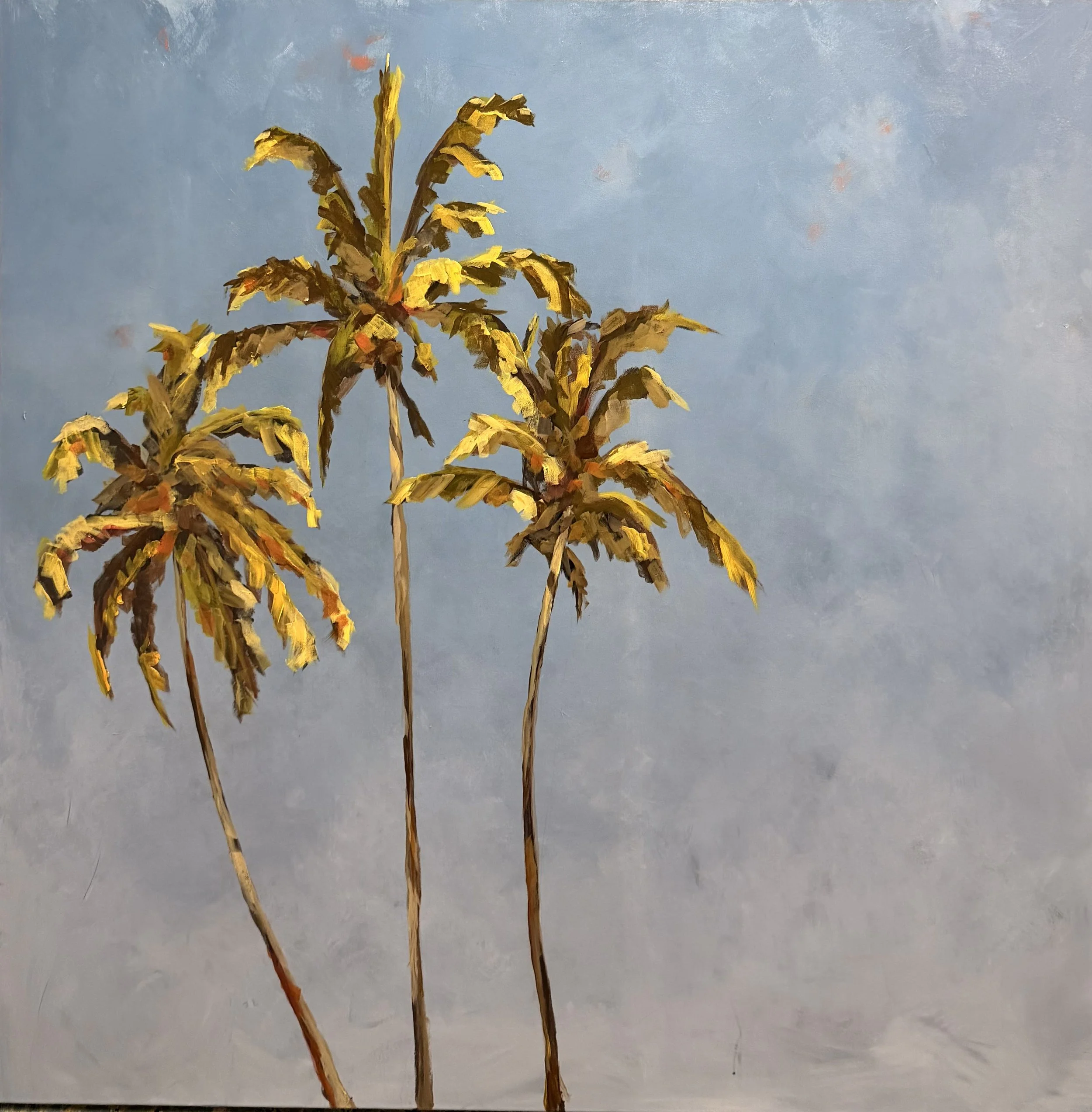 "Summer Breeze" 48 x 48 Gold Metal Float Frame