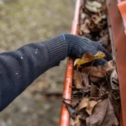 Gutter Cleaning
