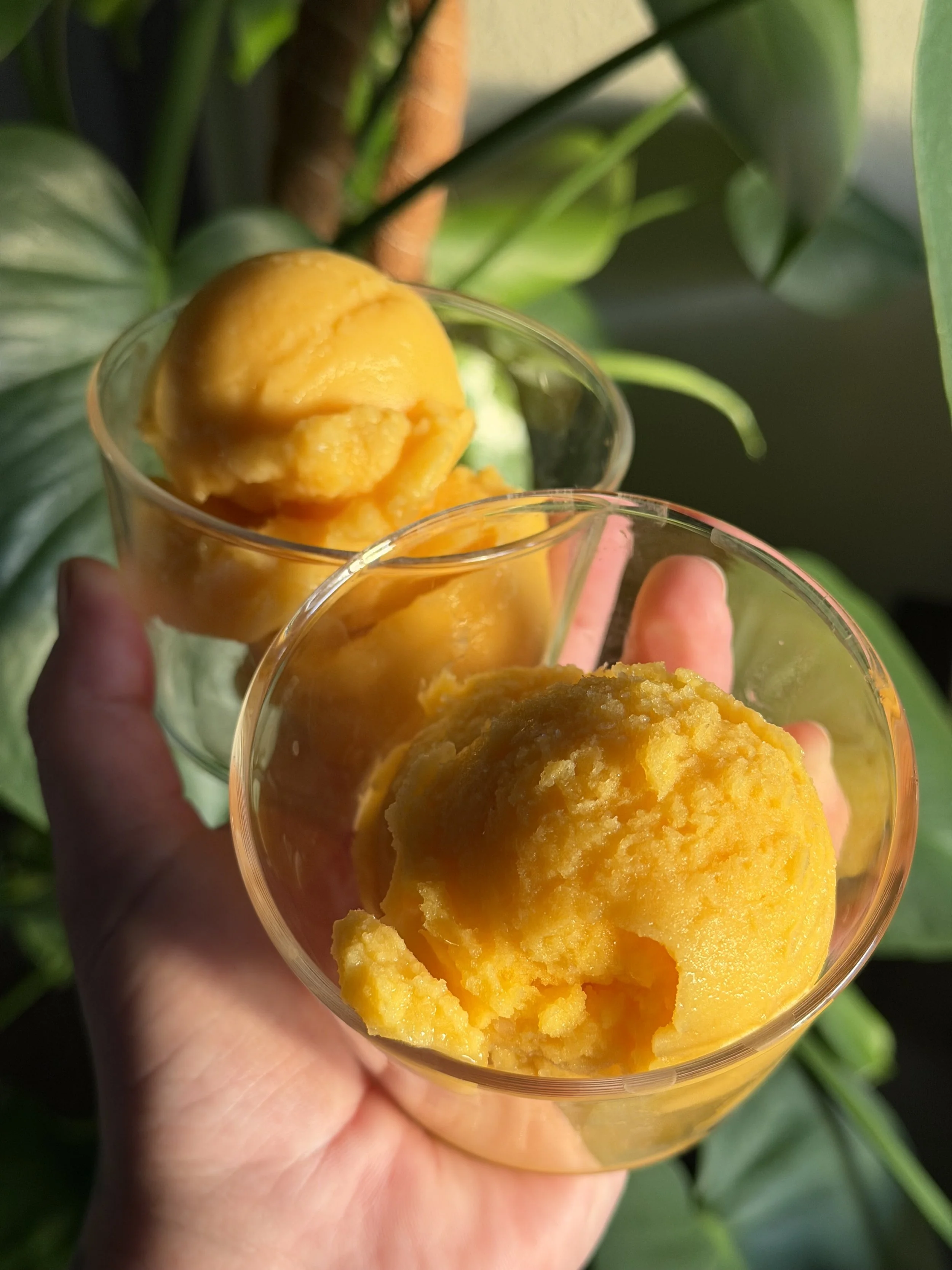 A hand holding a glass of bright yellow sorbet with a soft, smooth texture, set against green foliage.