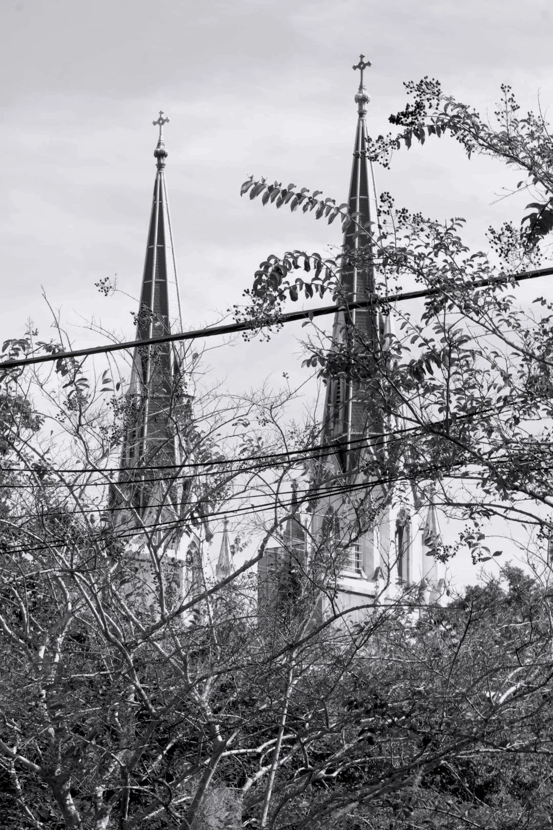 Black and white photo of church steeples with crosses on top, partially obscured by tree branches and power lines in the foreground.