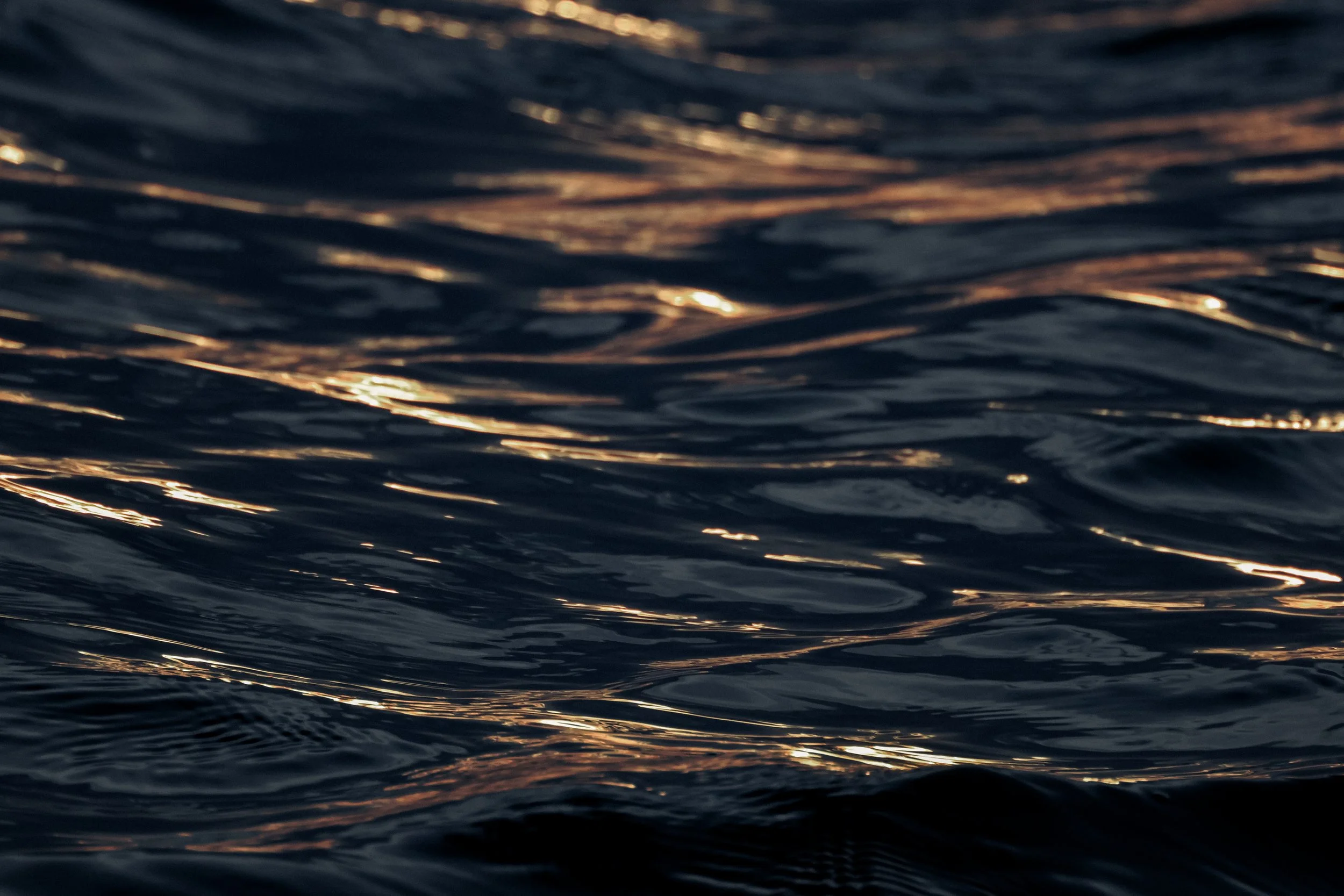 Close-up of dark water with ripples and reflections of light.