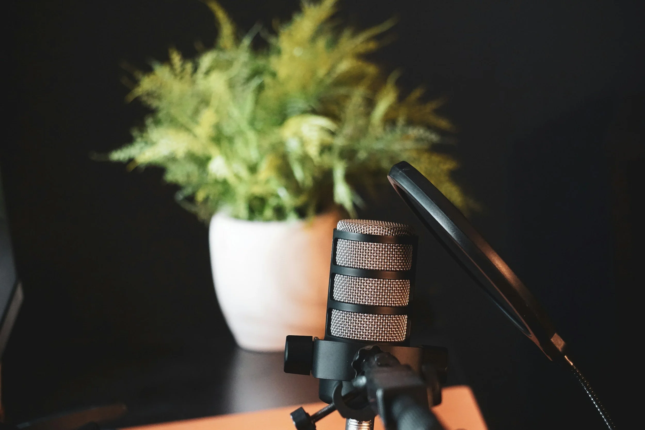 A studio microphone mounted on a boom arm, with a blurred green plant in a white pot in the background against a dark wall.