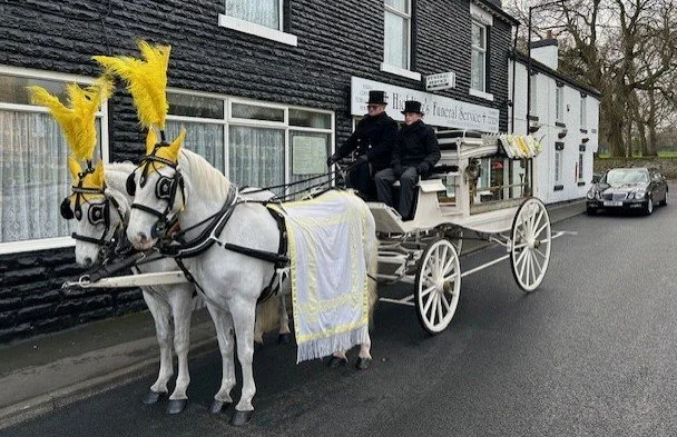 Horses-1.jpg