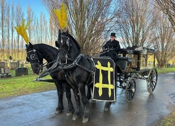 Horses-3.jpg
