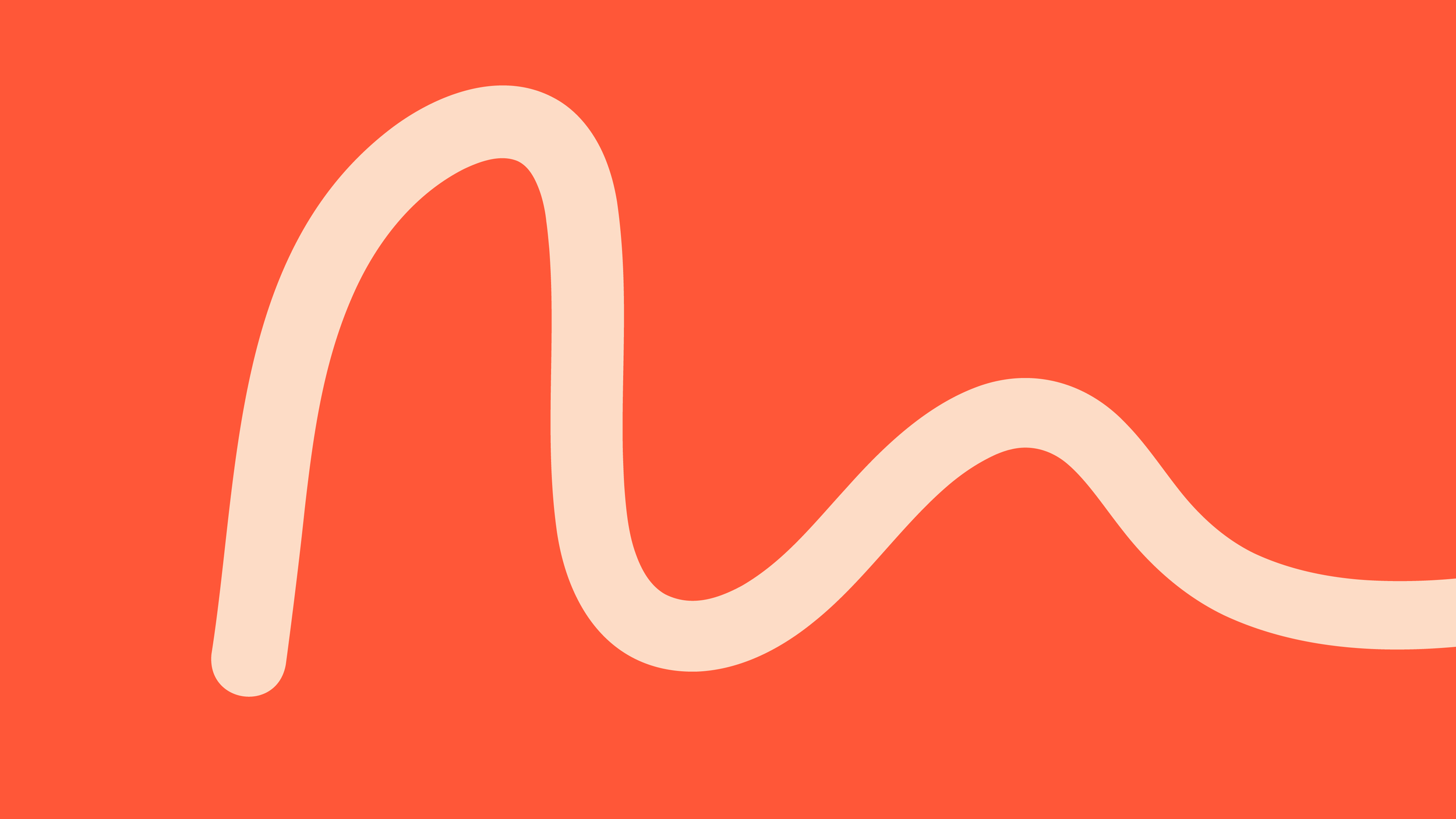 Momentum