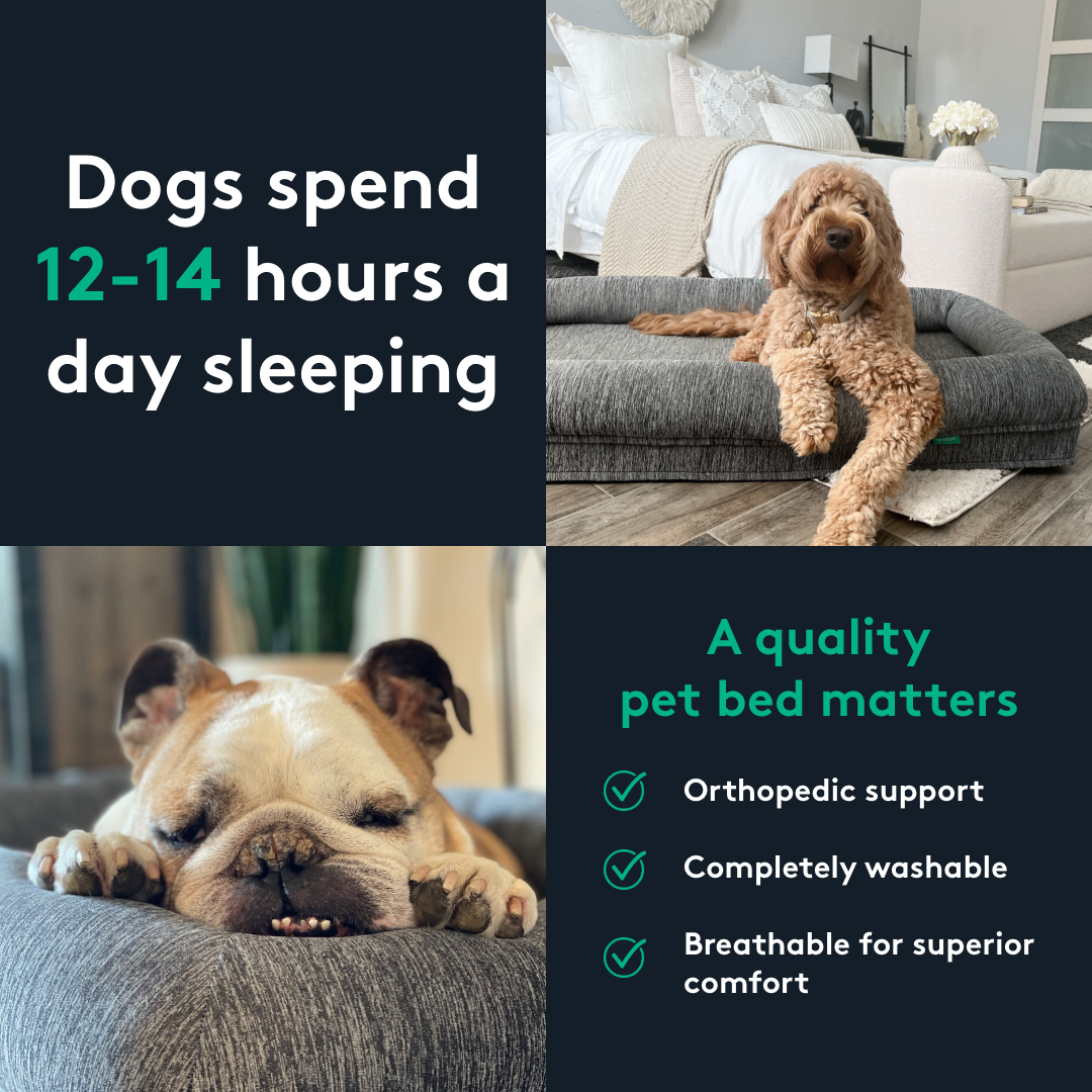 NEW23013-1-PetBedFactIntro-SleepingGrid-Static-1x1-META.png