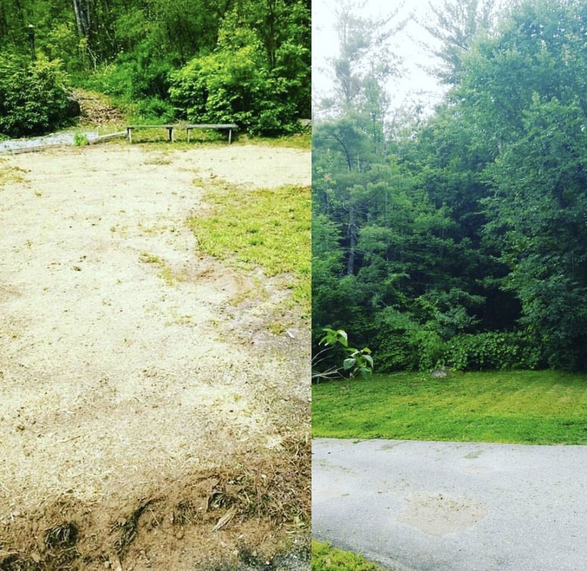 Comparison of two outdoor scenes showing one side as a barren dirt area with minimal grass and the other side as a lush green grassy area with dense trees.