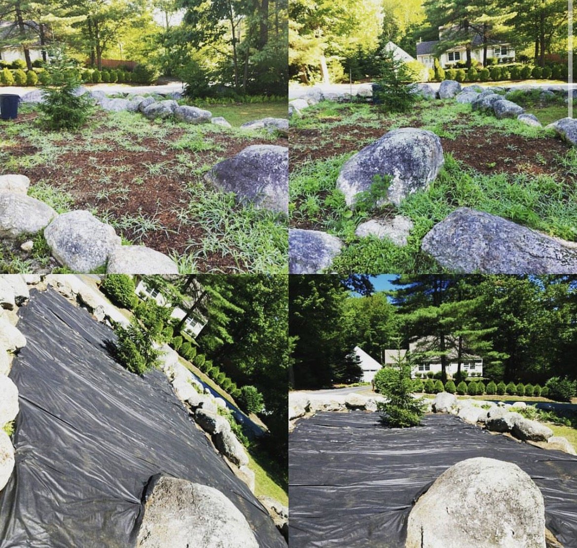 A garden landscape with large rocks, a small pine tree, and a house with trees in the background, taken from different angles showing the yard's layout.