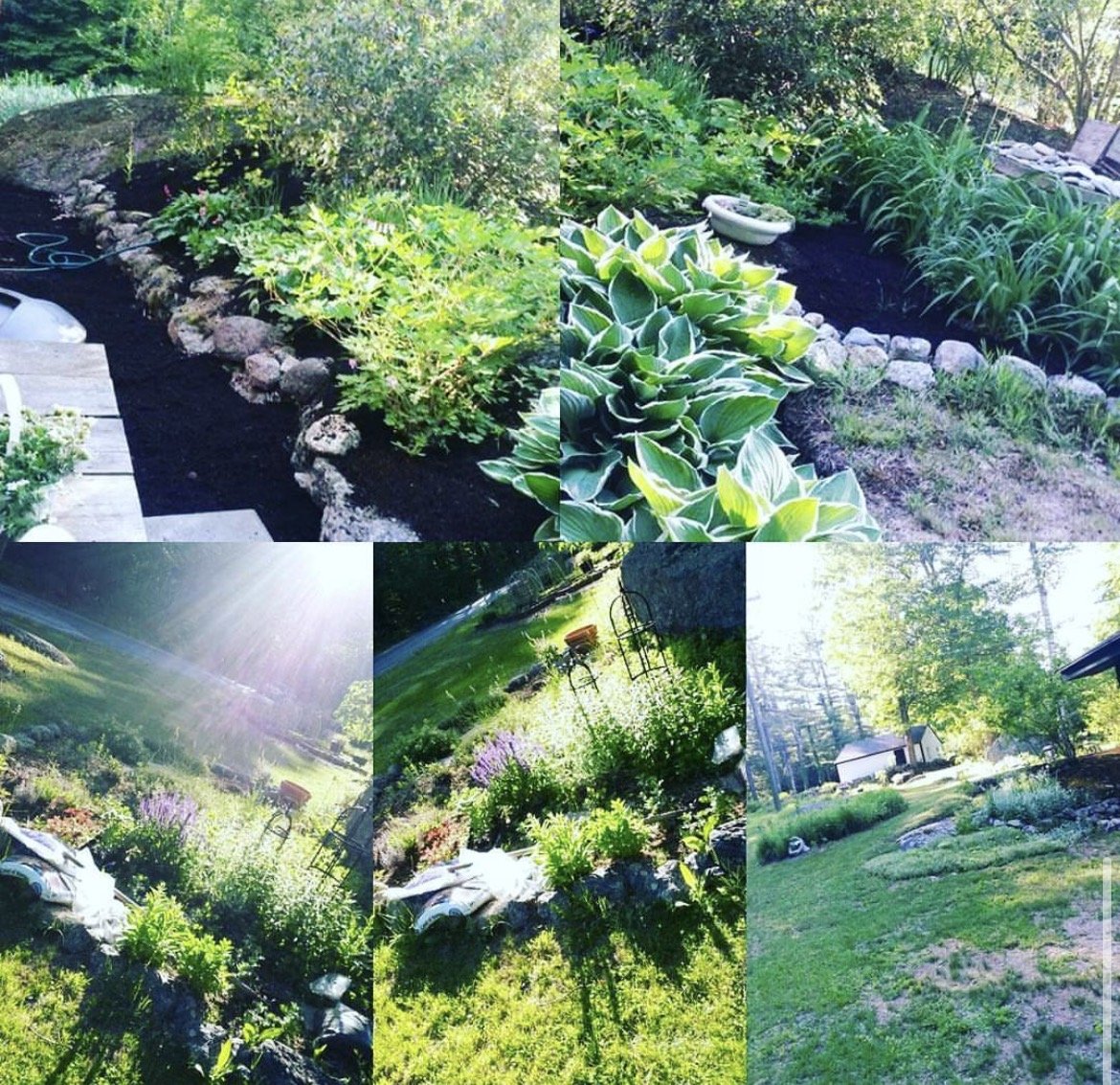 Collage of five garden and yard scenes with greenery, plants, flowers, and outdoor furniture, sunlight, and trees.
