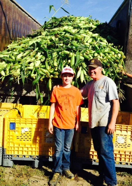 Digging in the Dirt: Fresh Sweet Corn for the Hungry