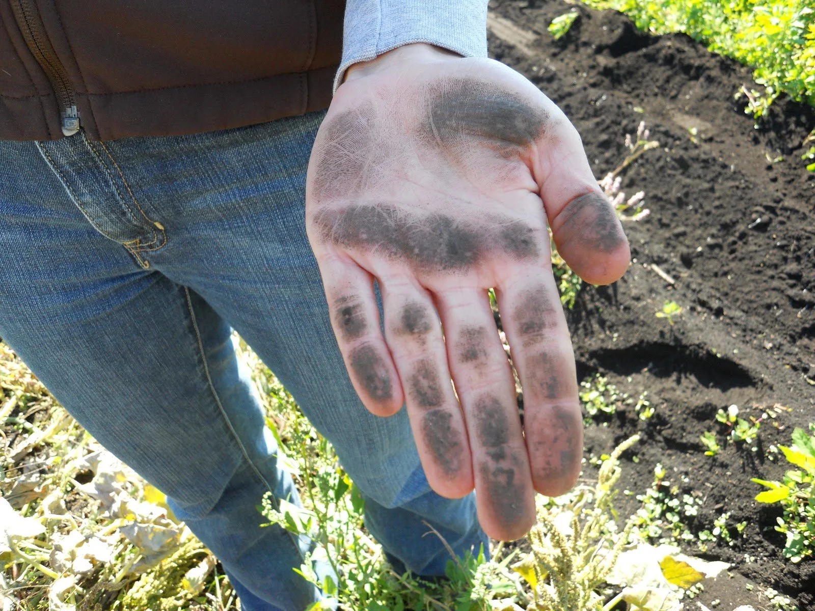 Inaugural "Digging in the Dirt" Farmers Ending Hunger Blog!