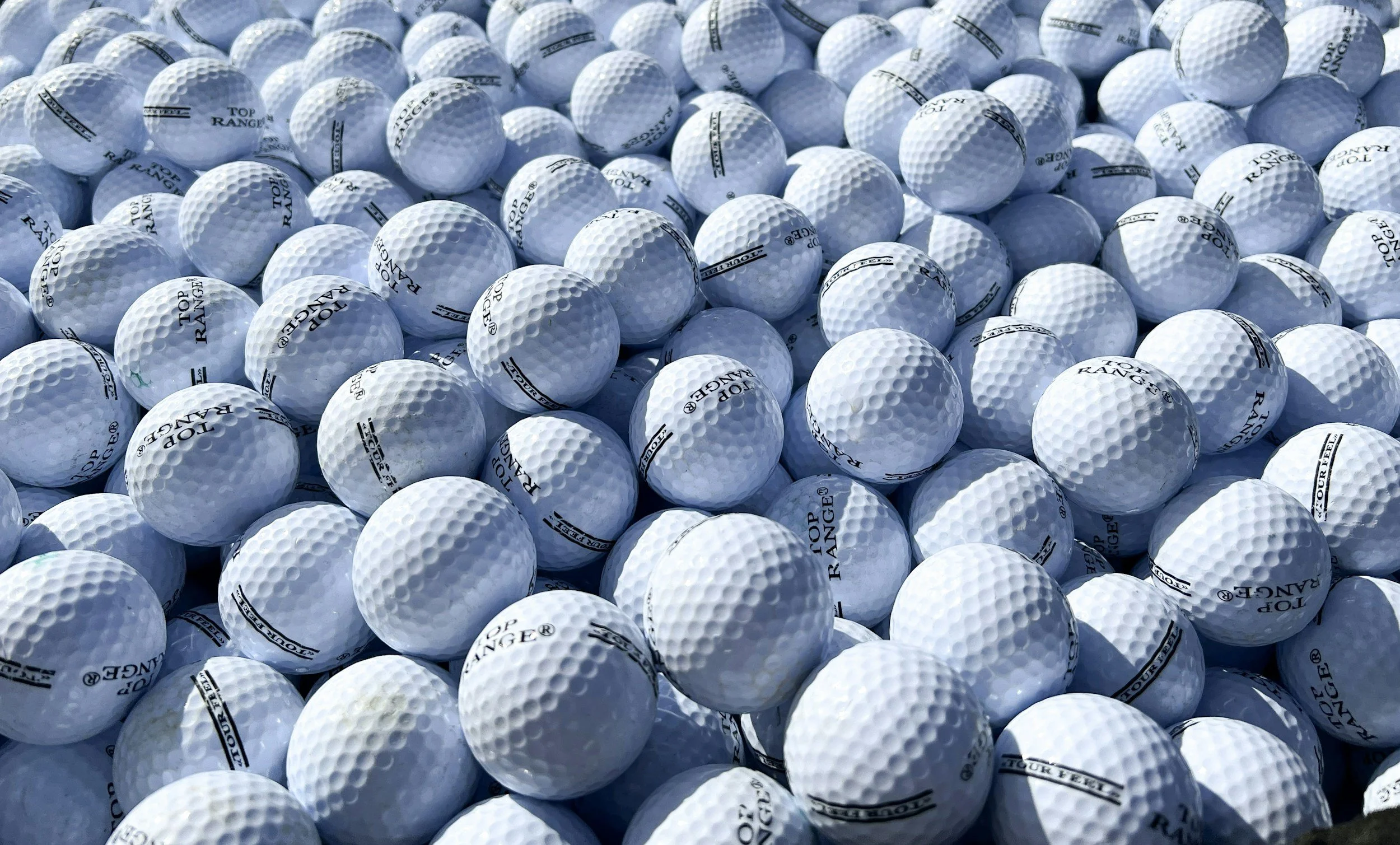 Golf Ball Drop Raises $9,600 for the Agri-Business Council of Oregon and Farmers Ending Hunger