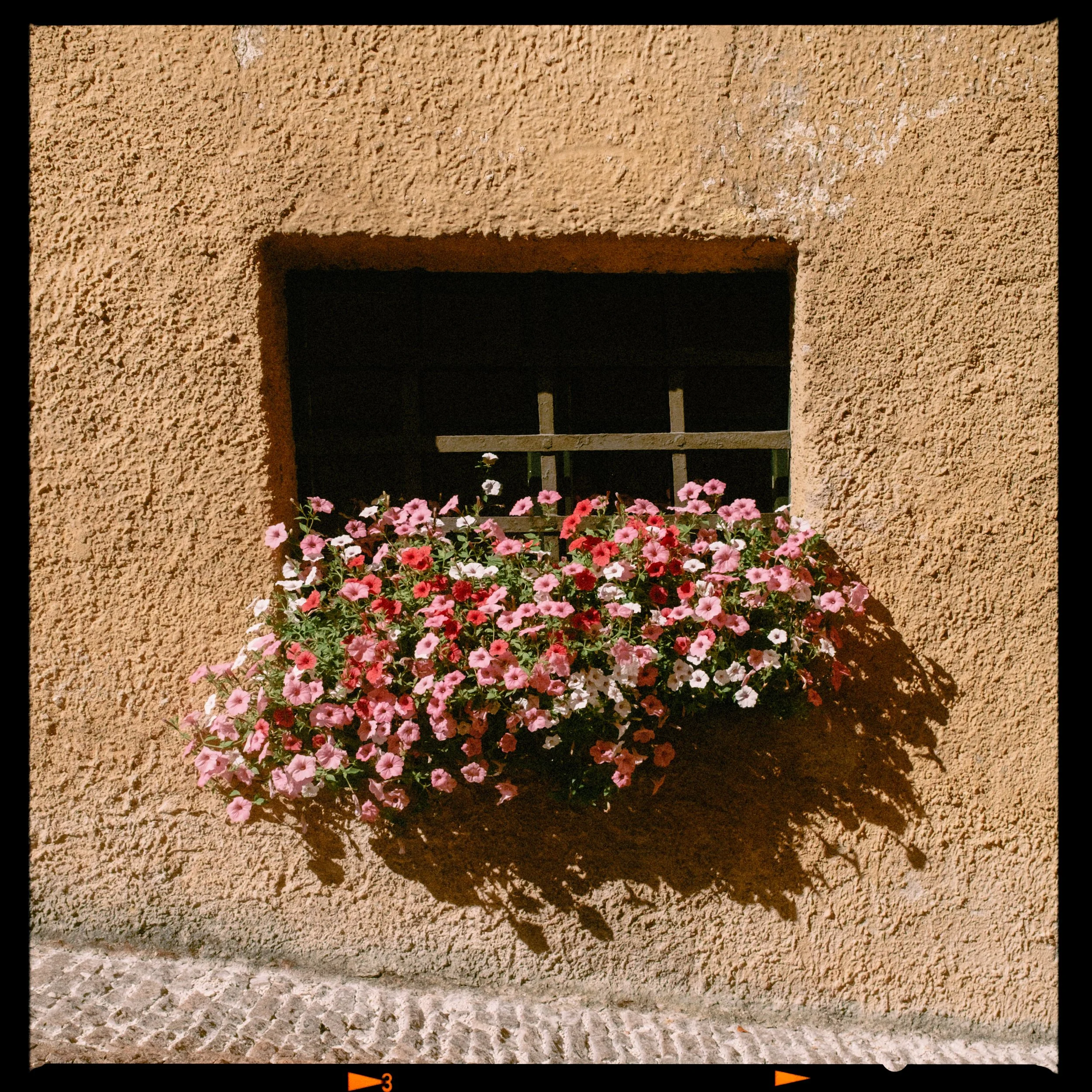 DSCF1116.jpg