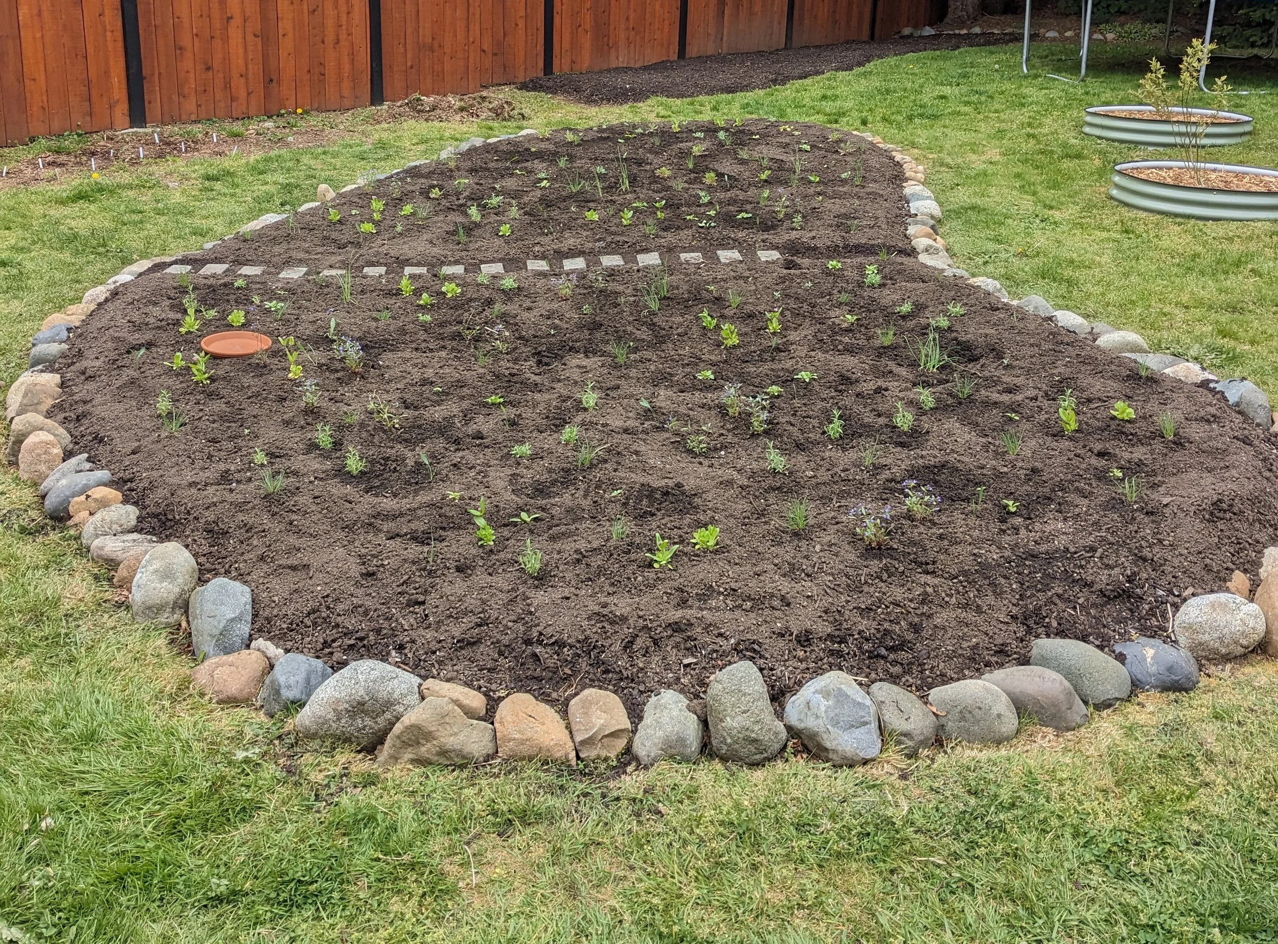 A newly installed native plant garden