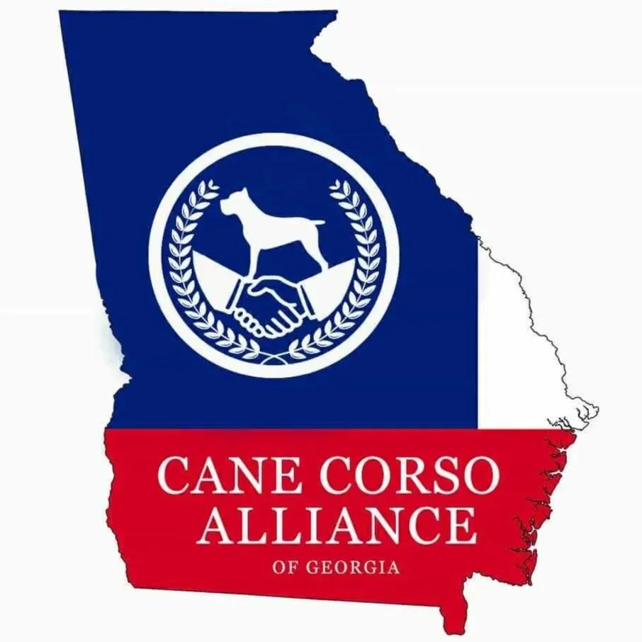 Cane Corso Alliance of Go]eorgia