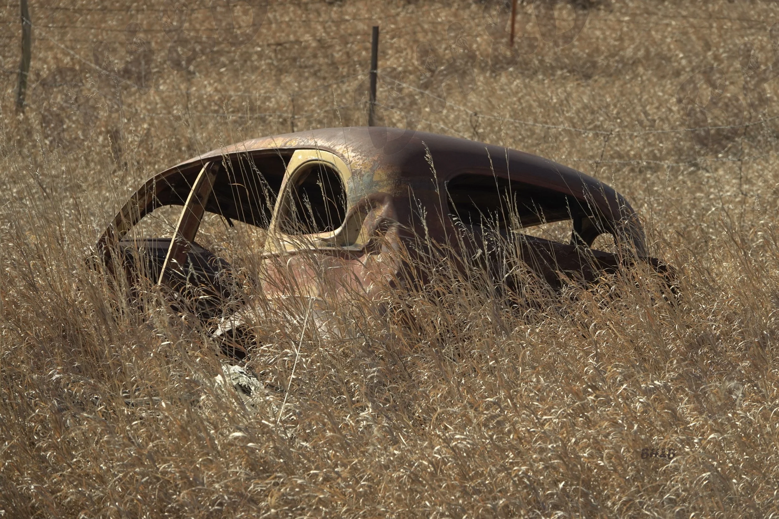 Antique car in the Wyoming Prairie grass with rich golden colors