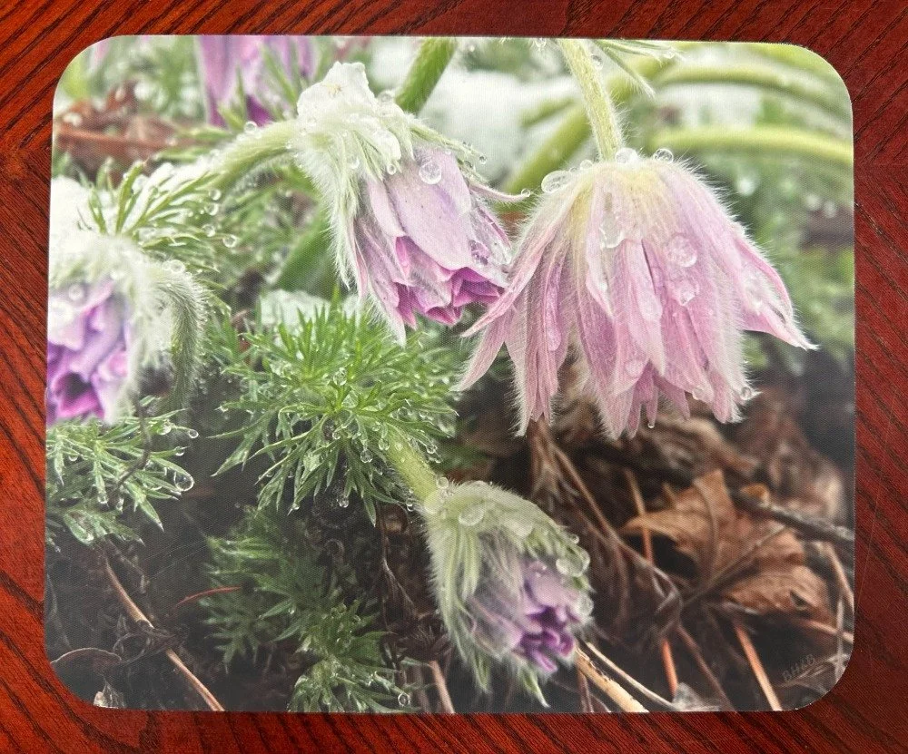 Mountain Dew Flowers