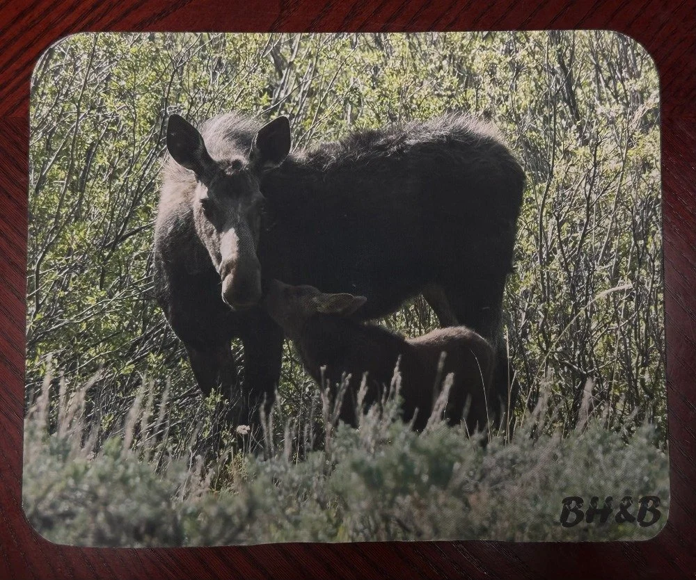Moose Smooches Mousepad